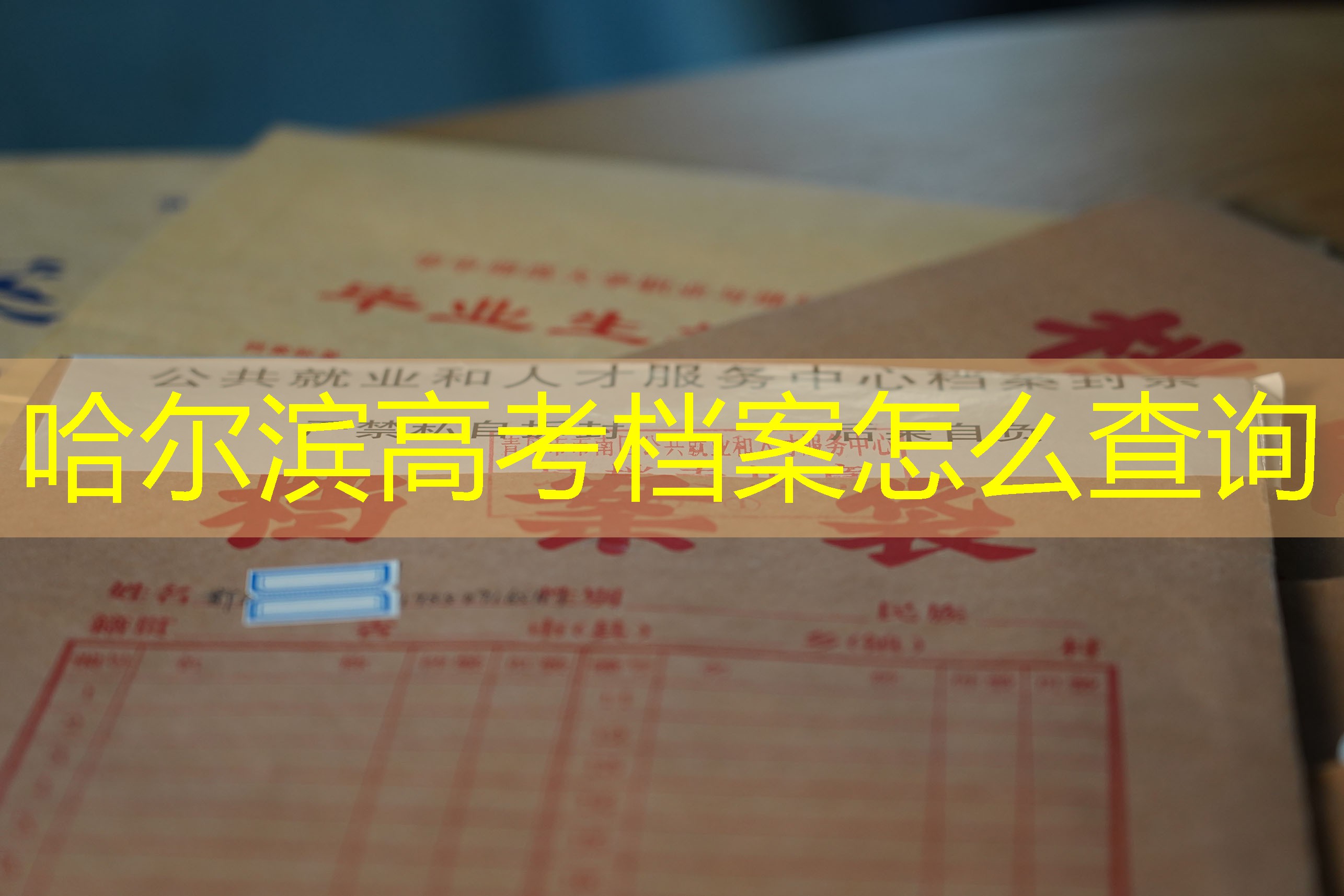 档案查询