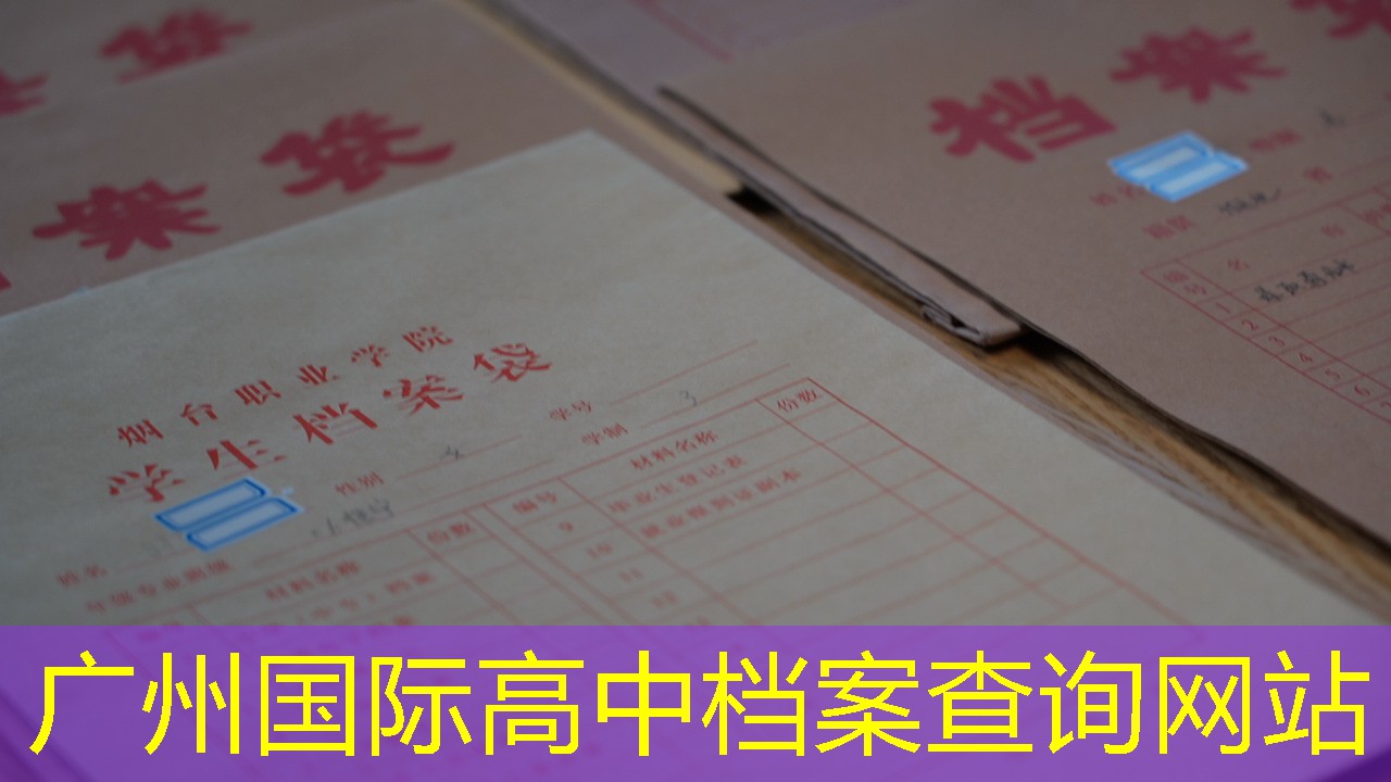 档案查询