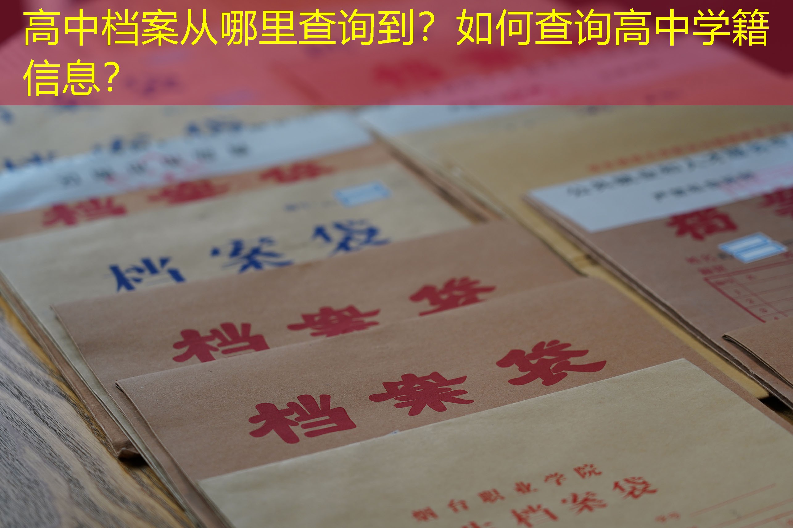 档案查询