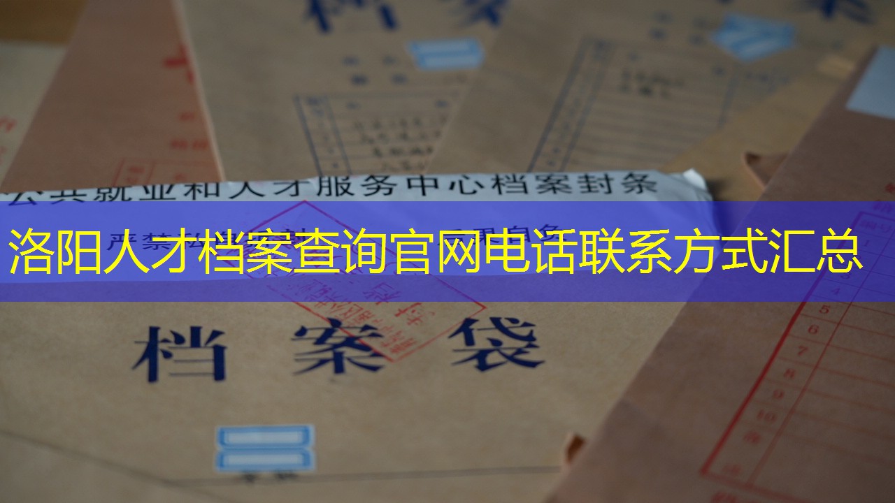 档案查询