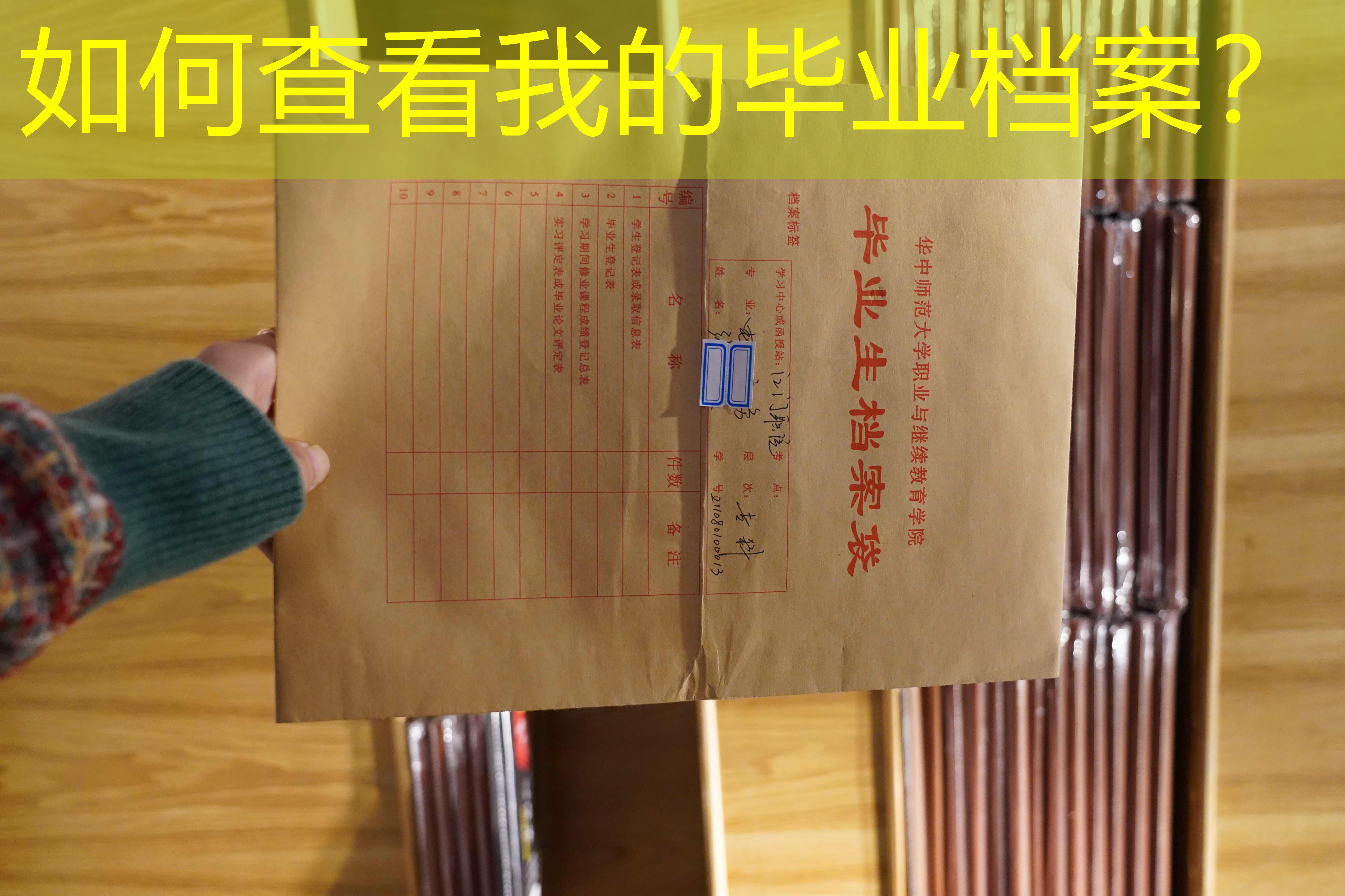 档案查询