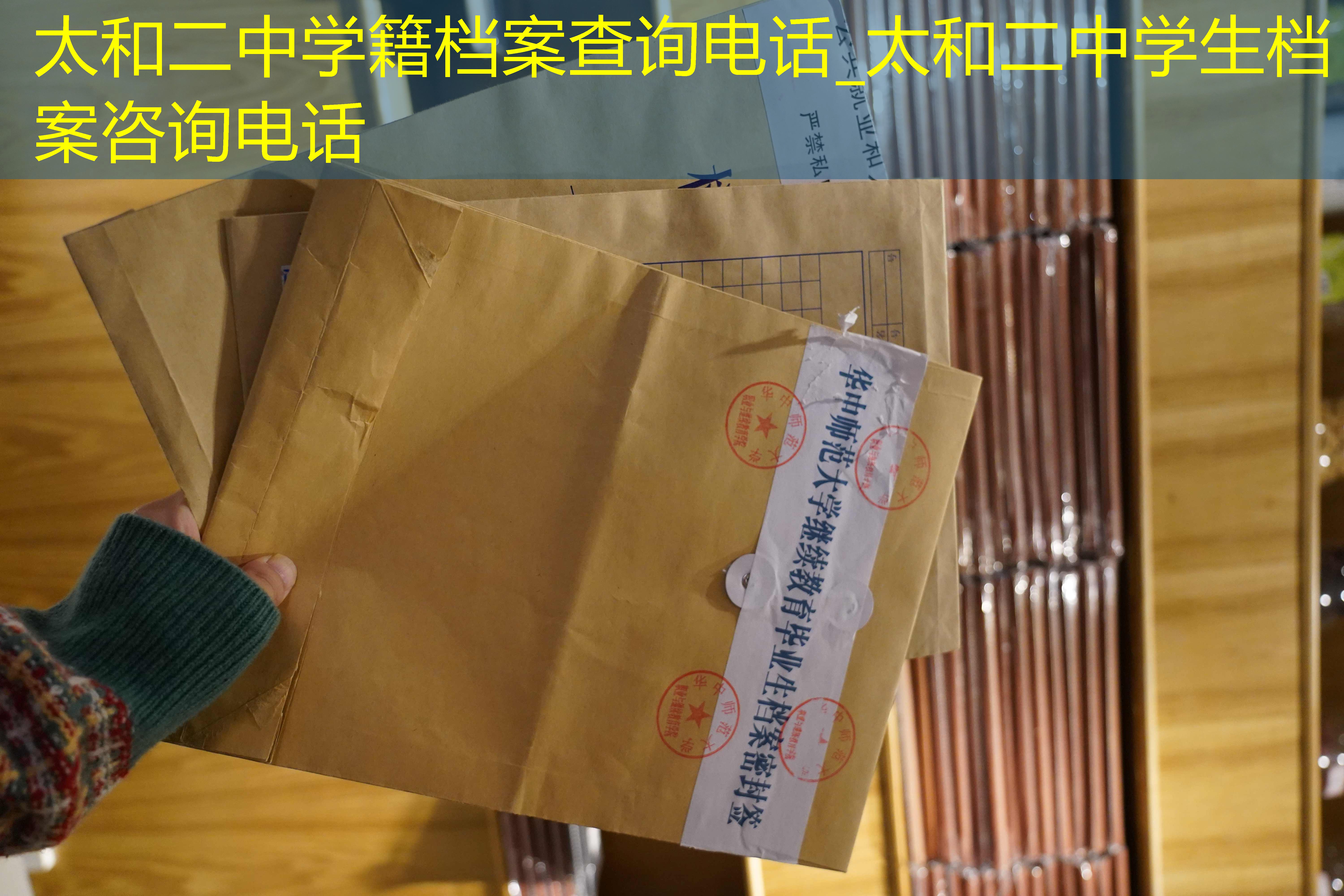 档案查询