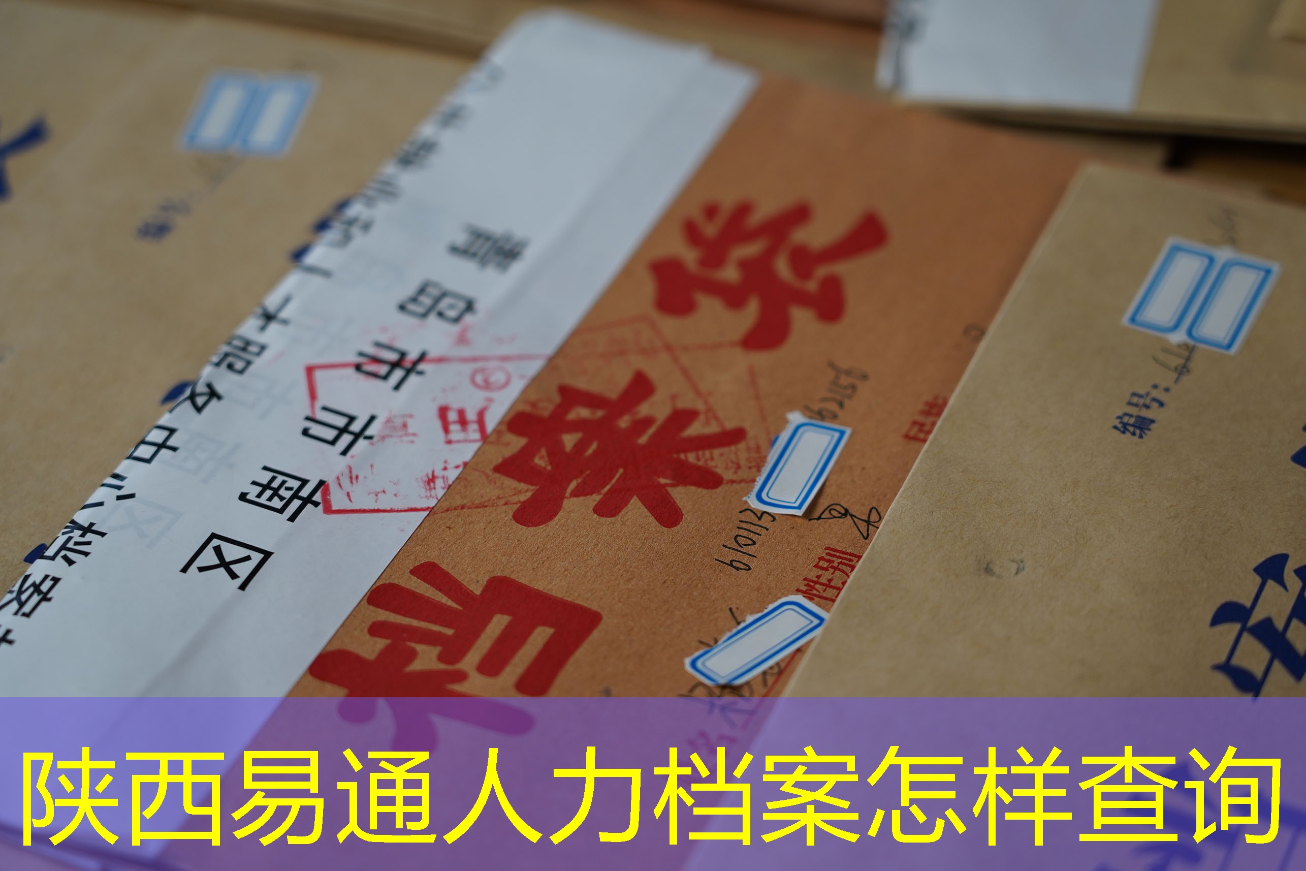 档案查询