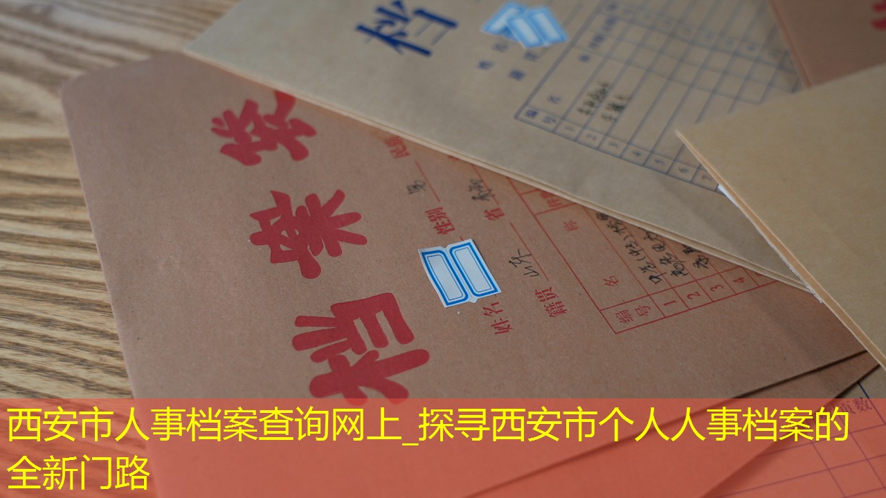 档案查询