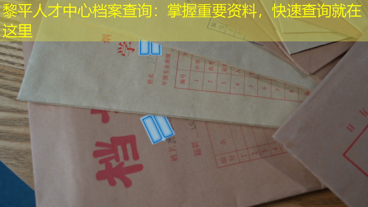 档案查询