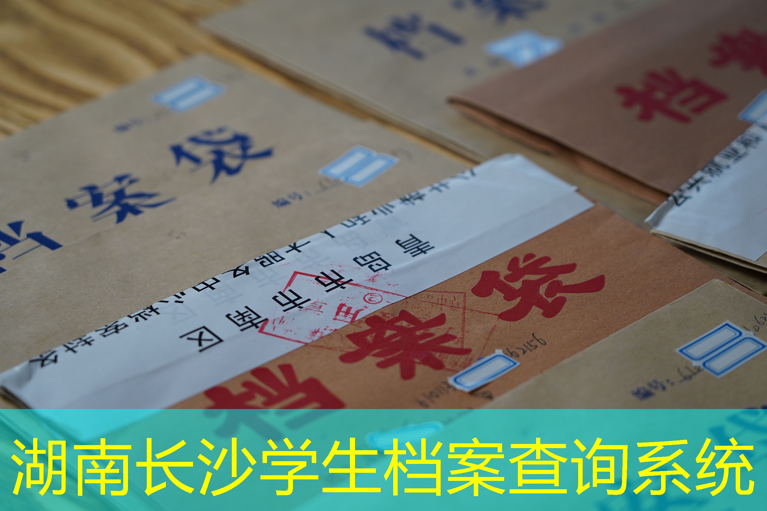 档案查询