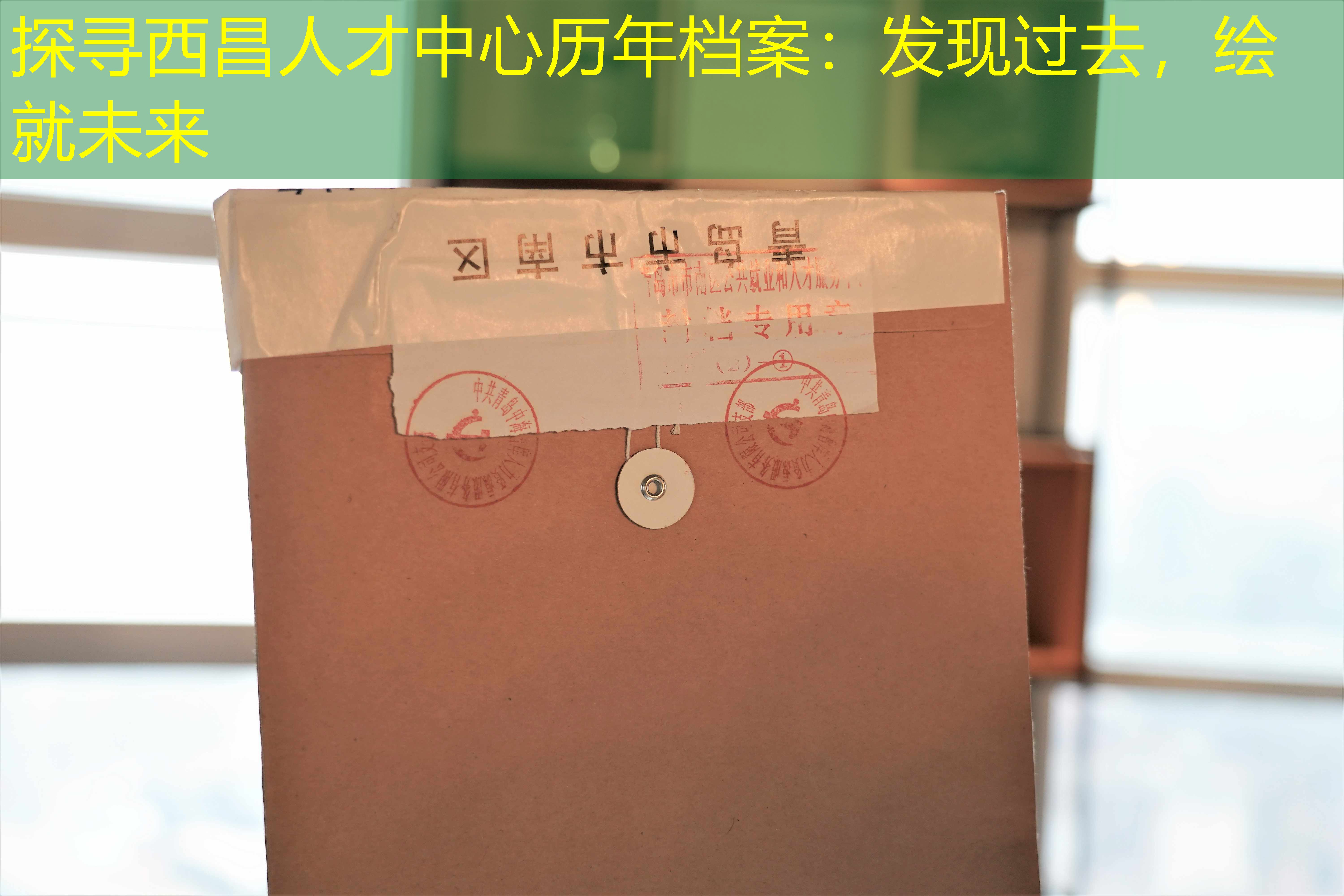档案查询