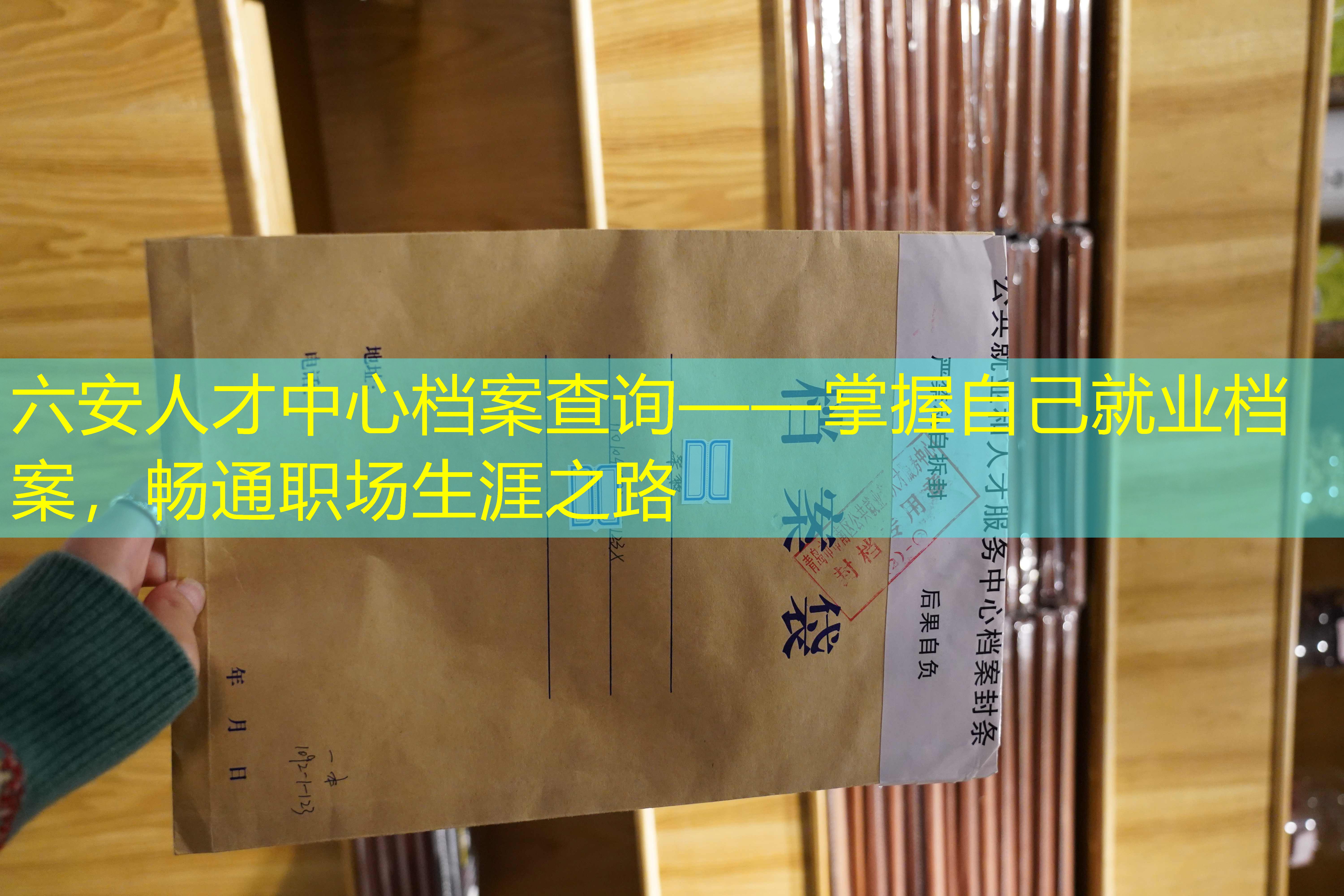 档案查询