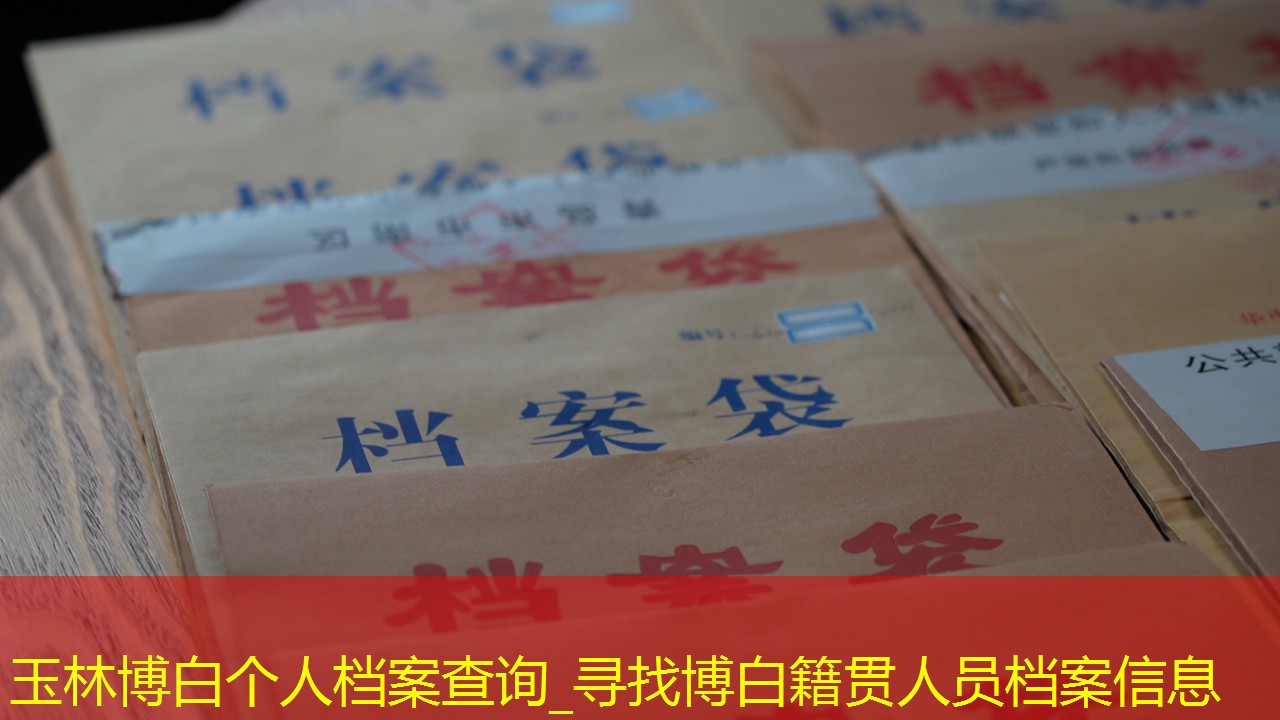 档案查询