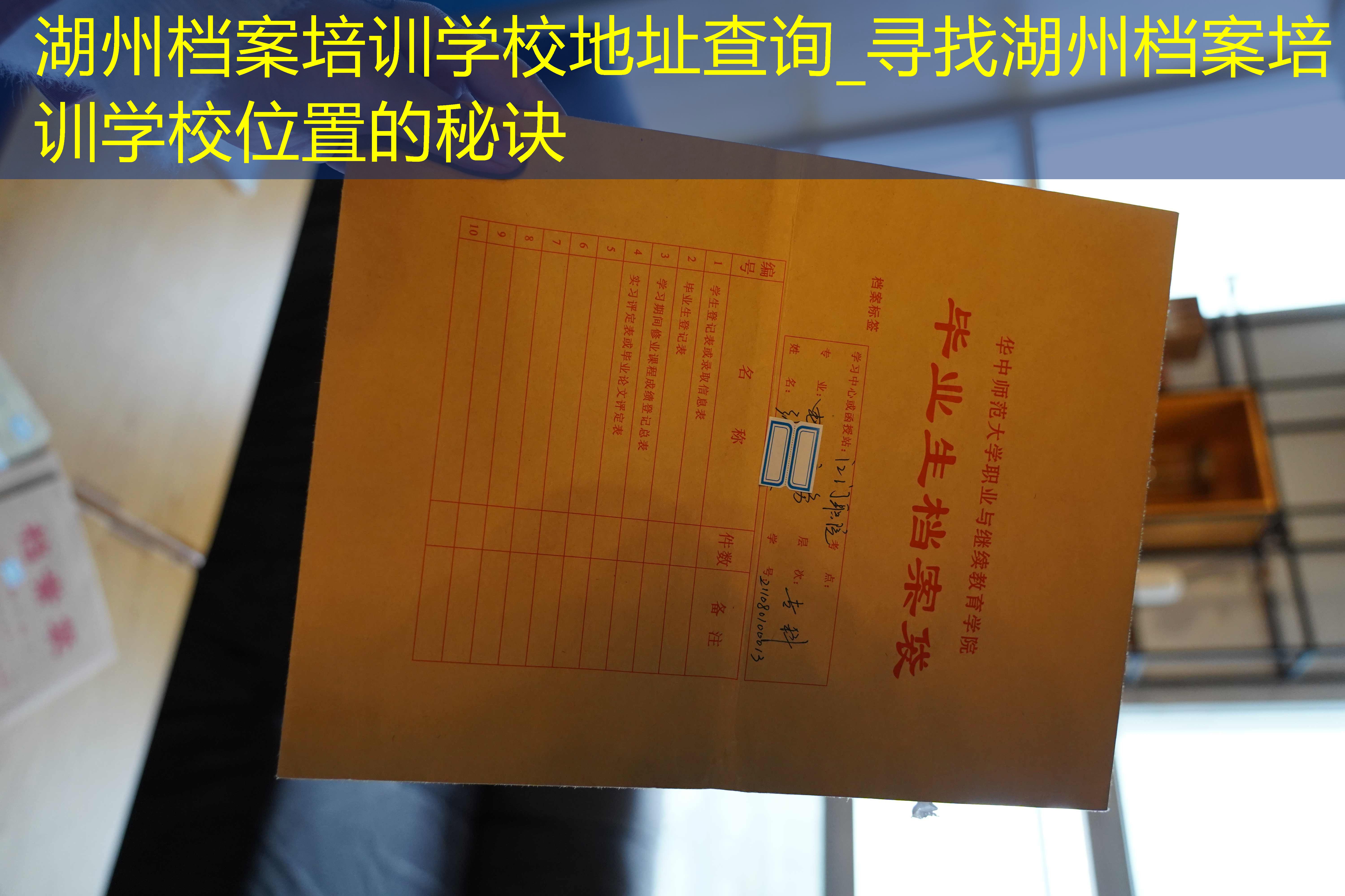 档案查询