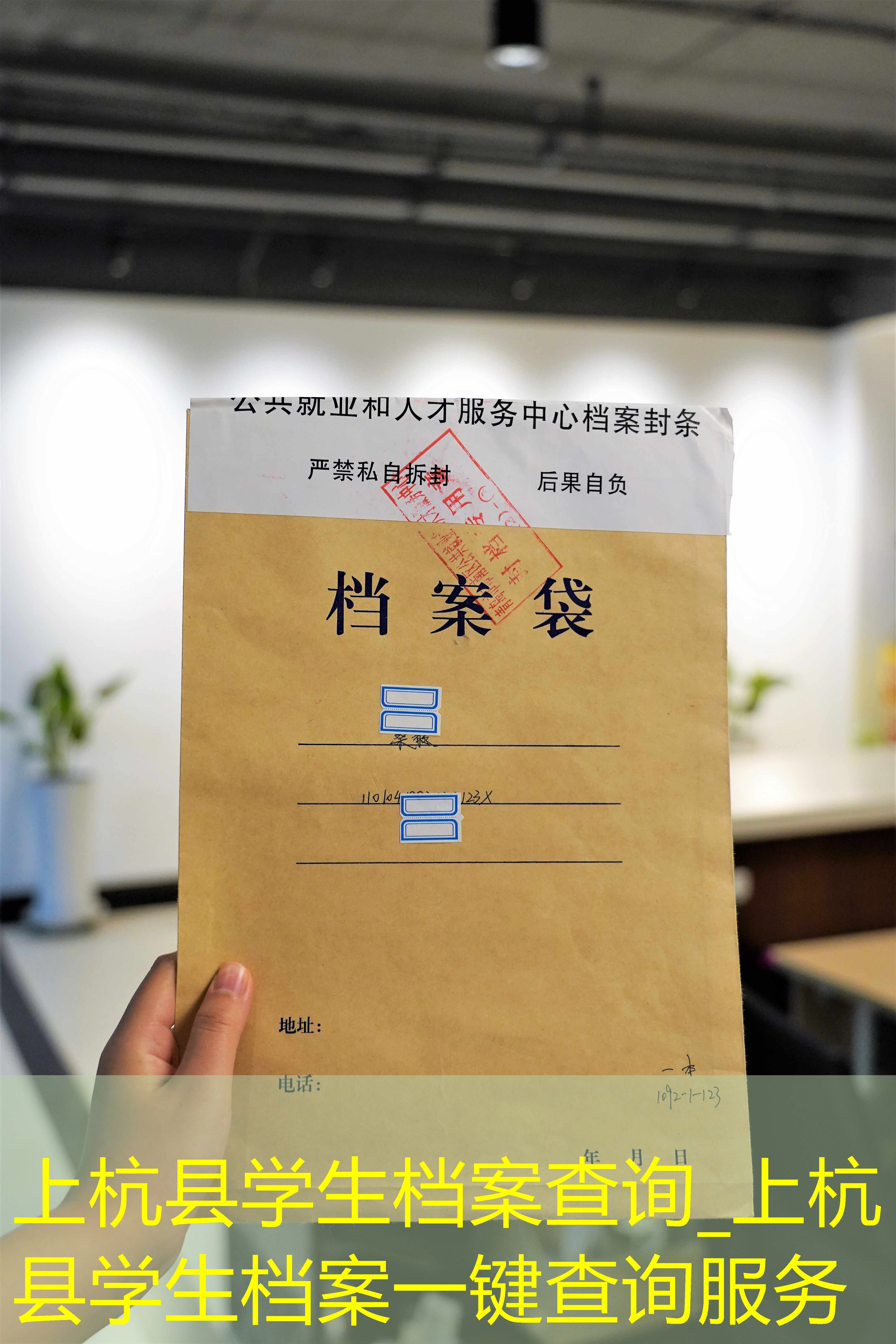 档案查询