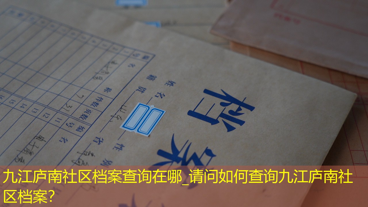 档案查询
