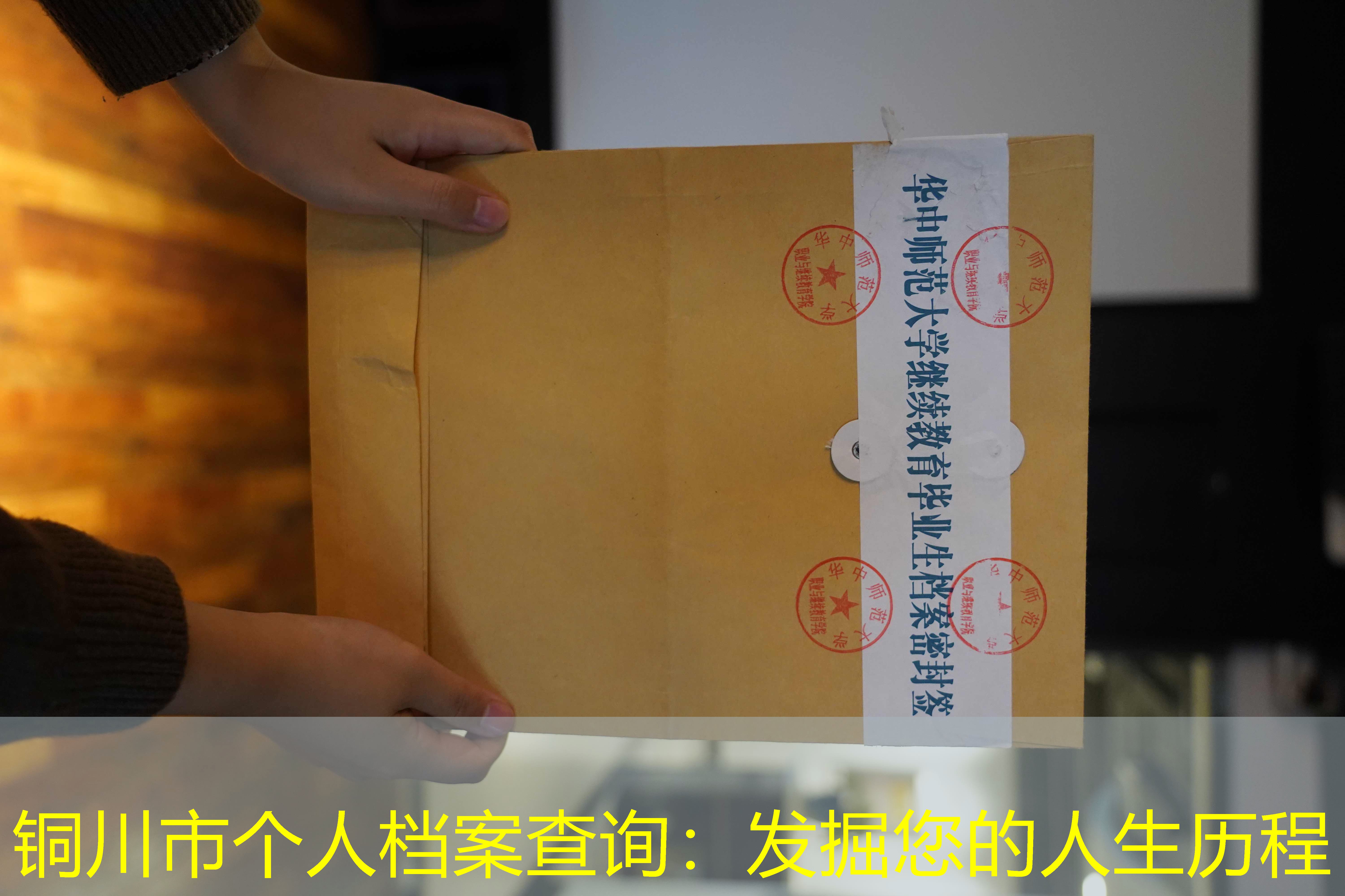 档案查询