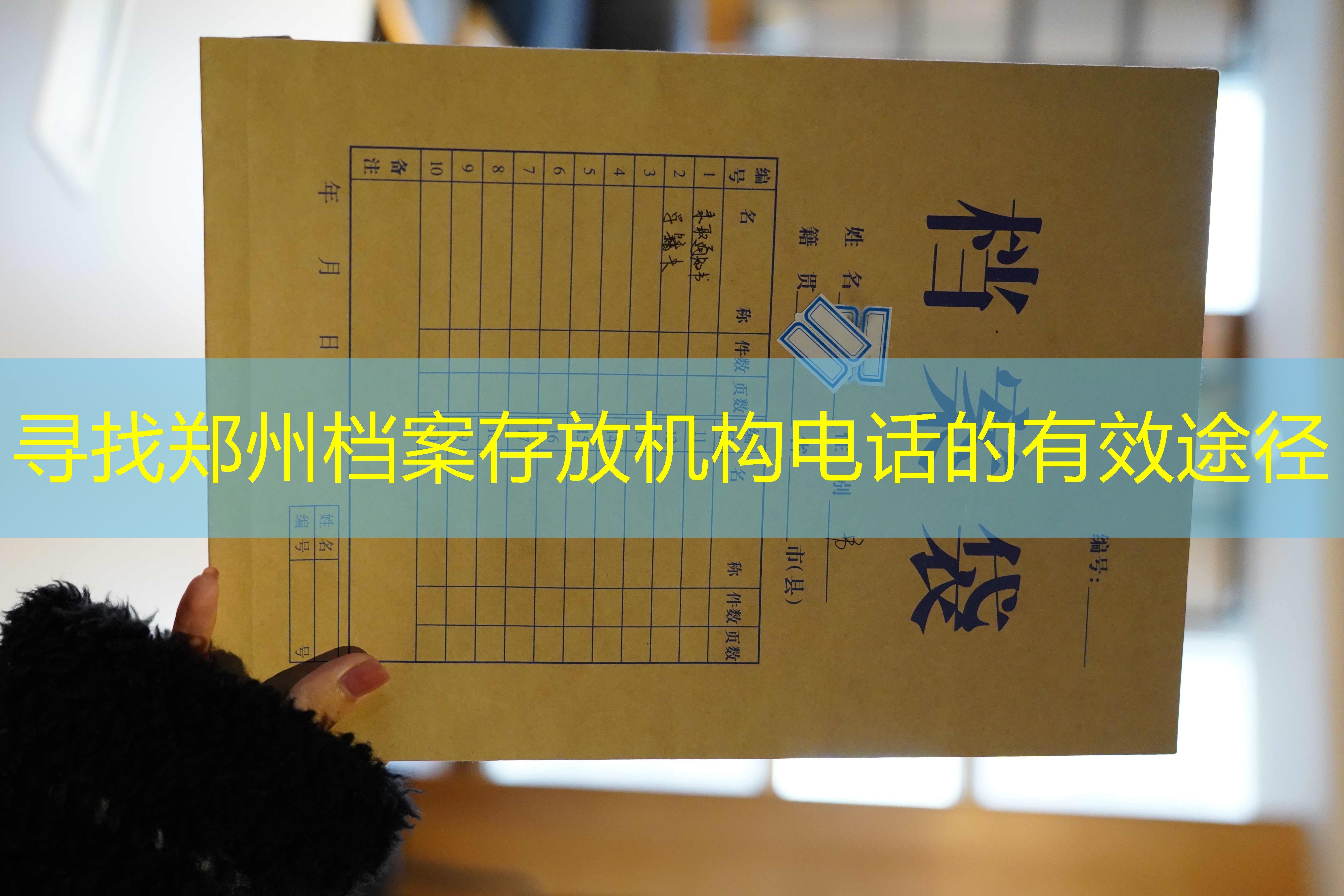 档案查询