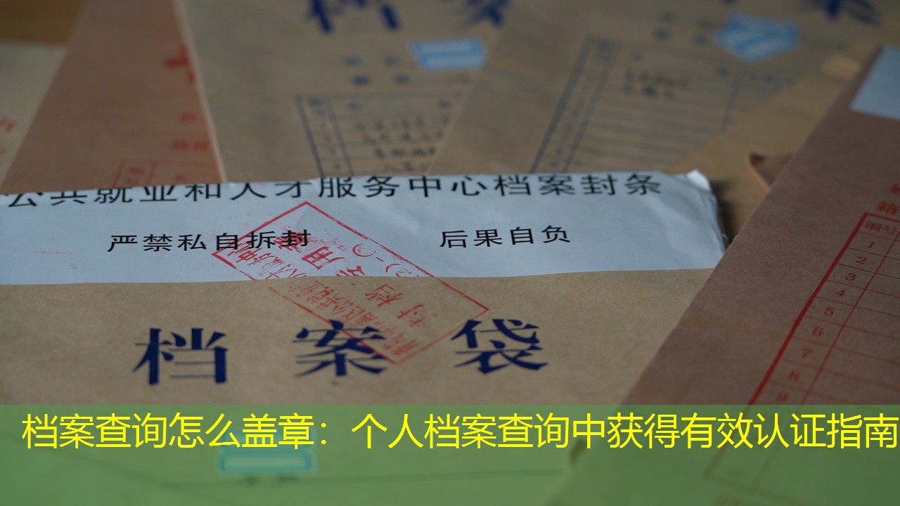 档案查询