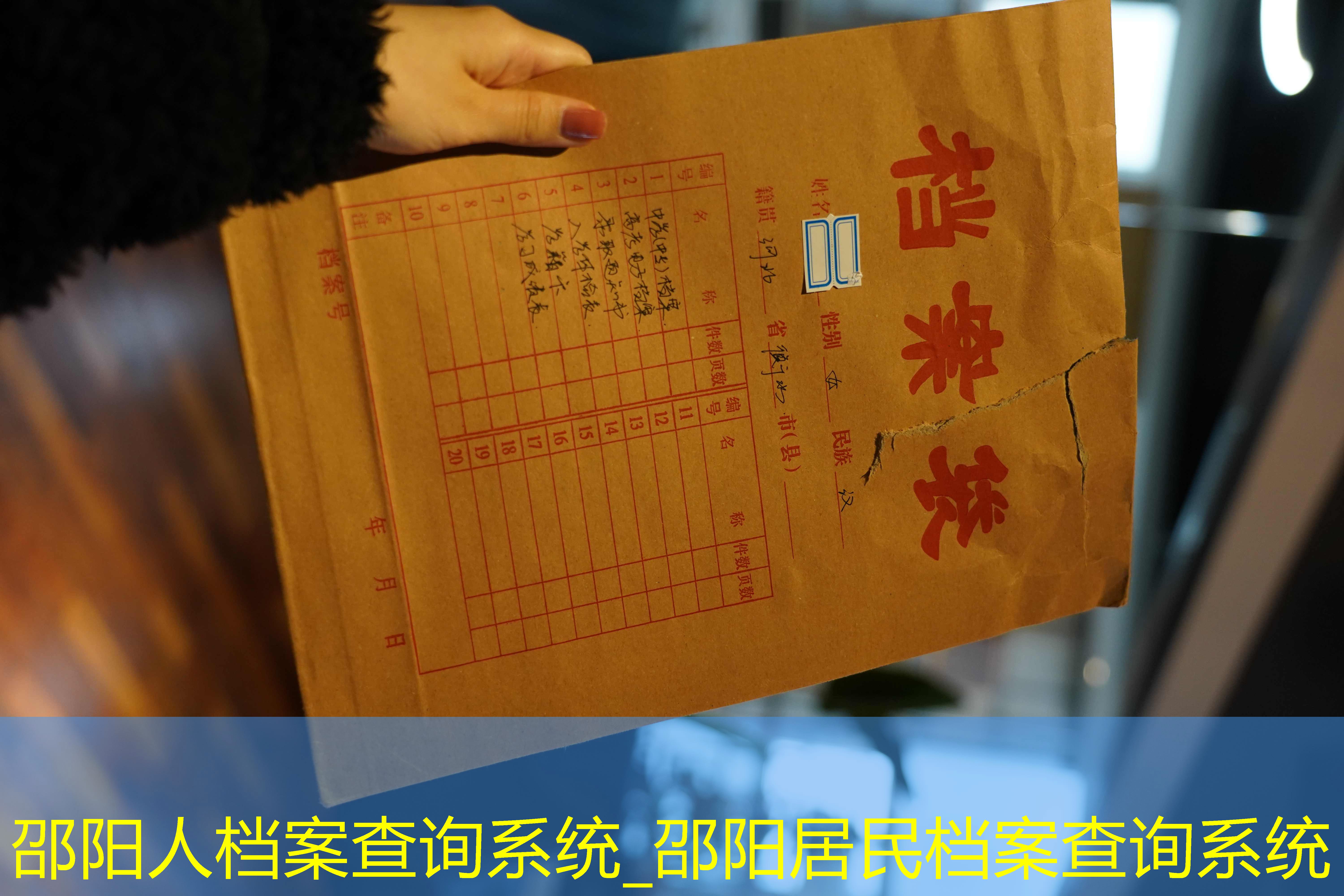 档案查询