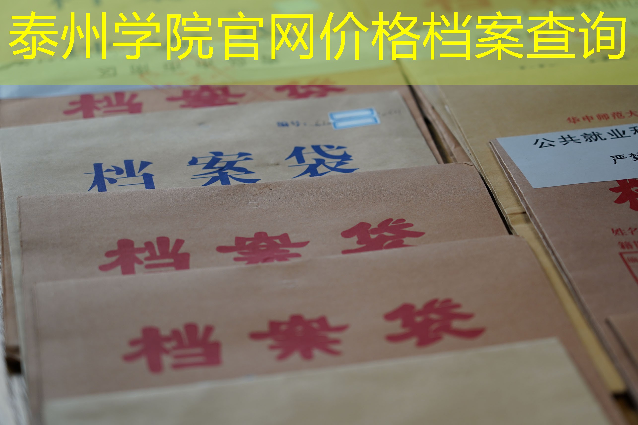 档案查询