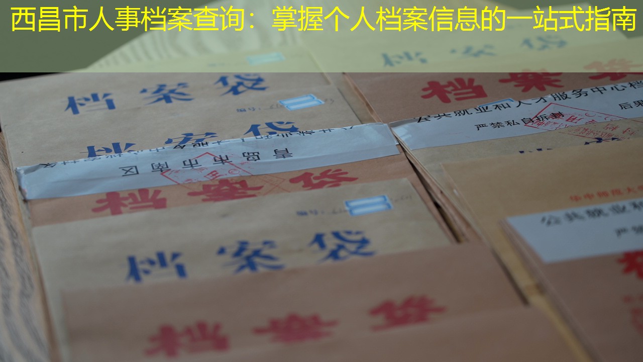档案查询
