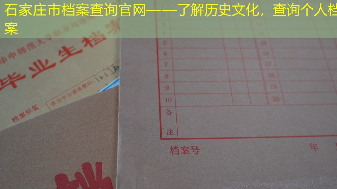 档案查询