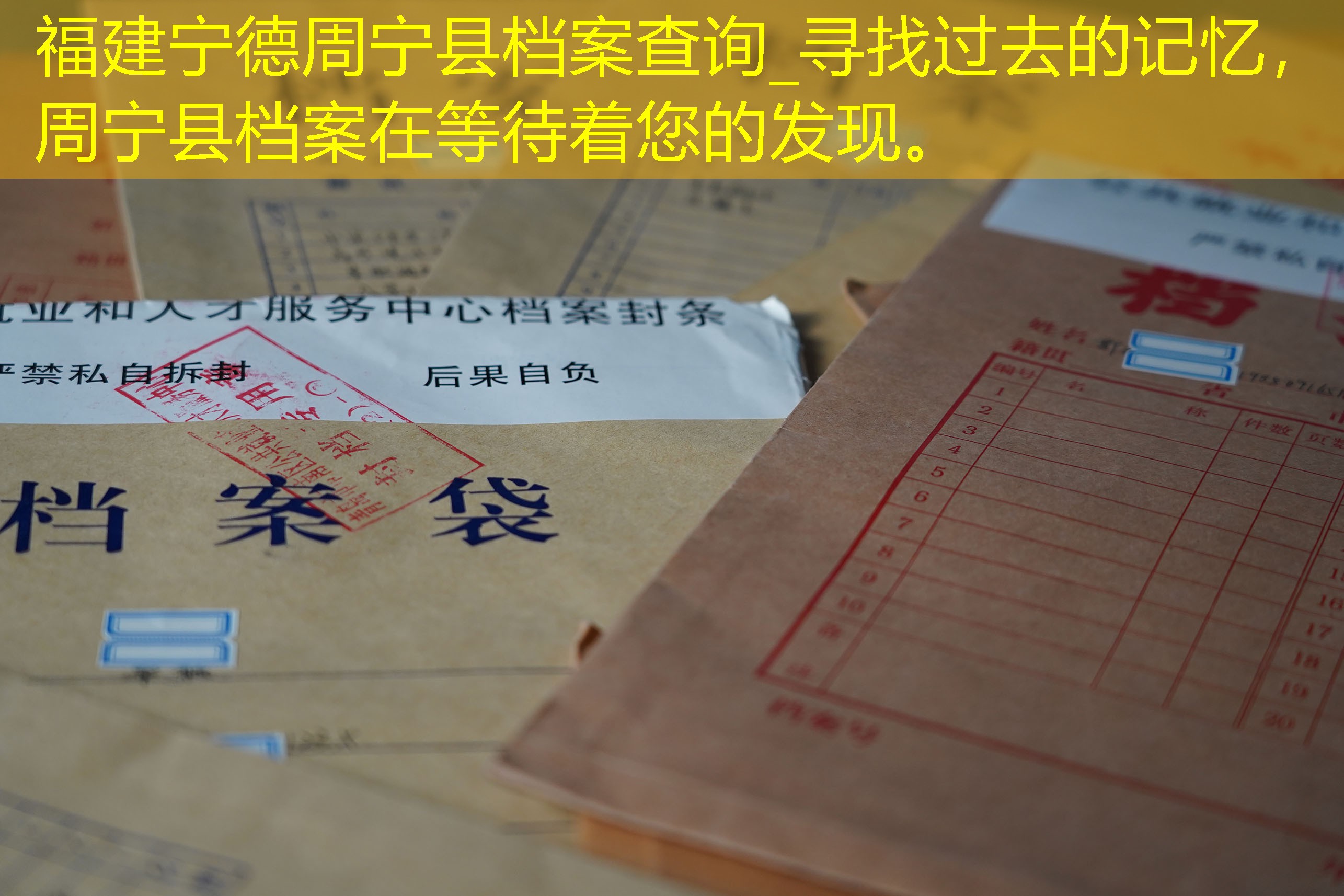 档案查询