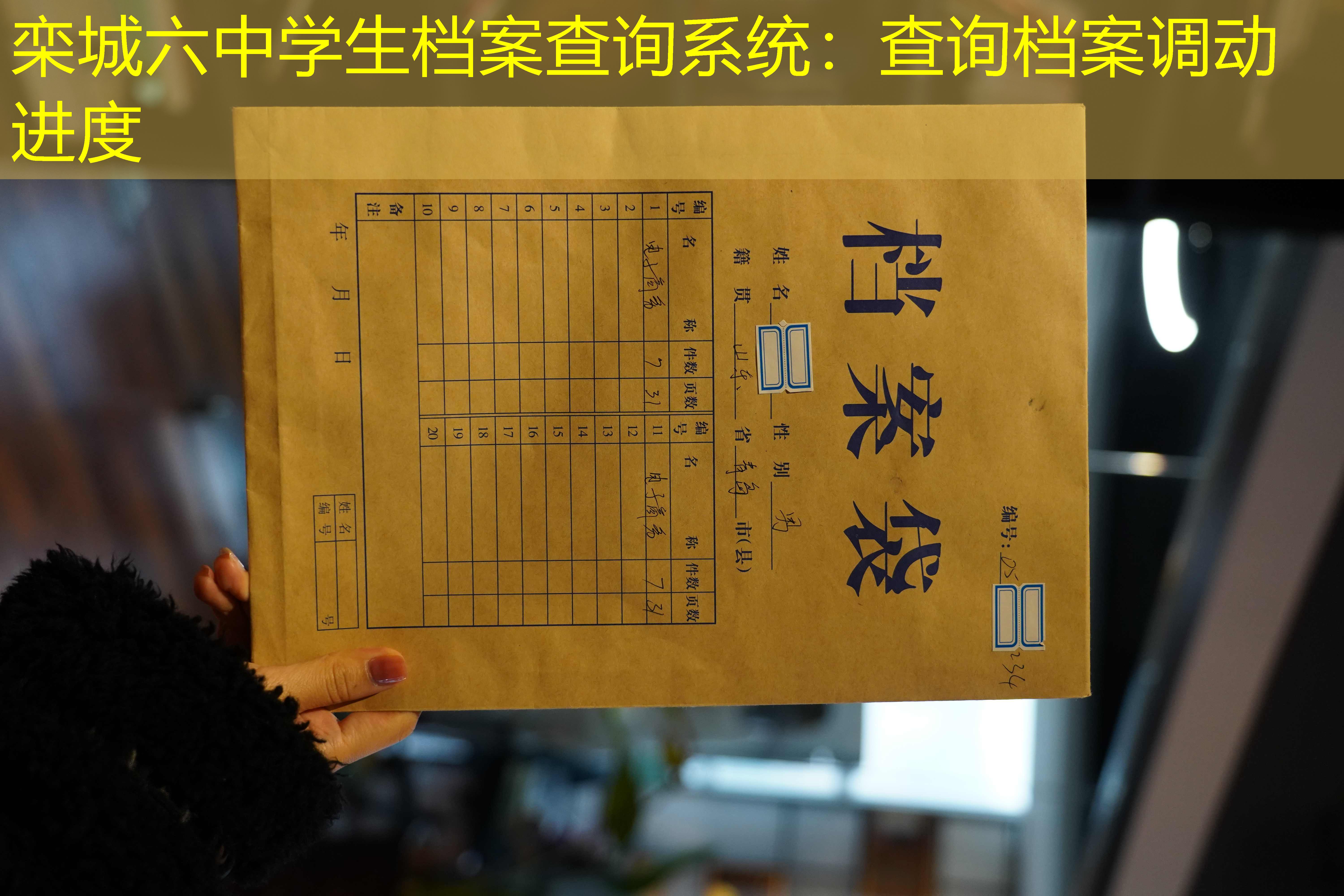 档案查询