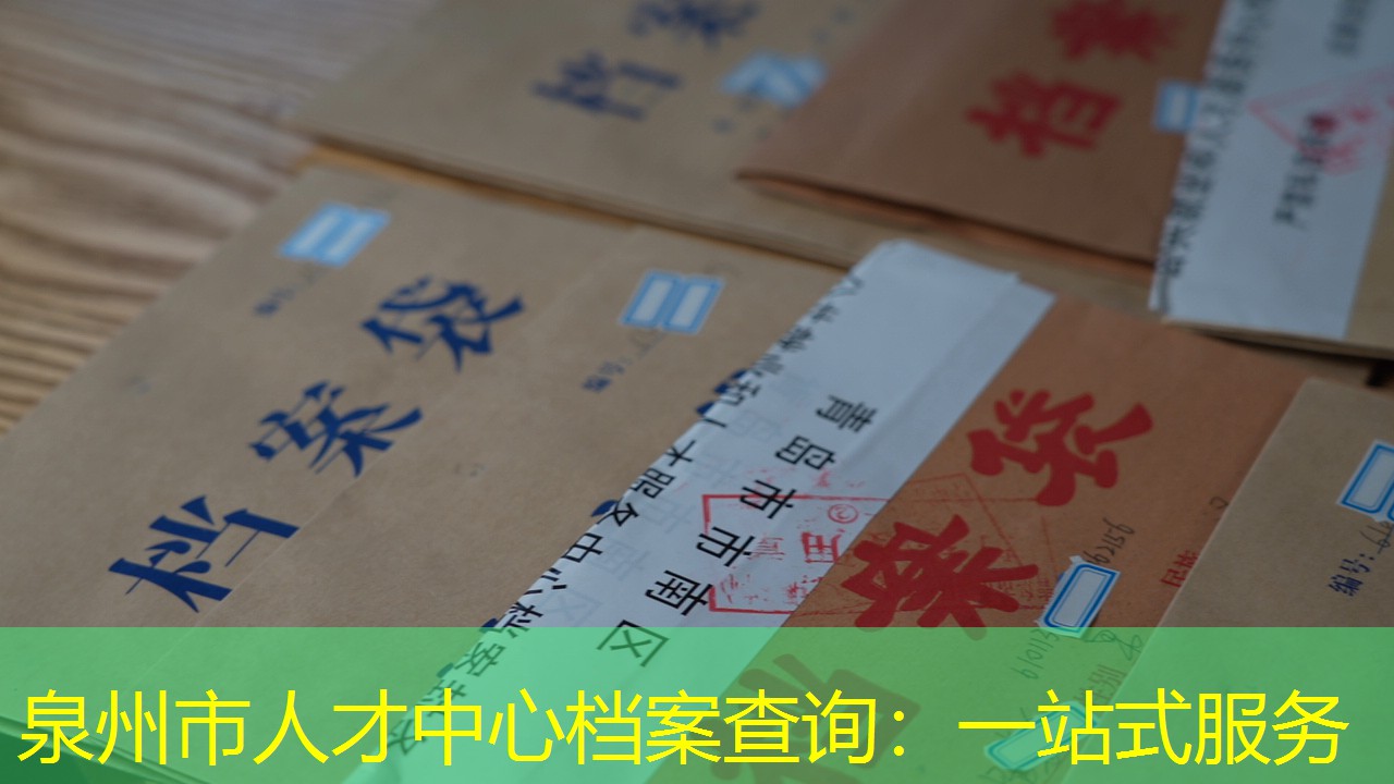 档案查询