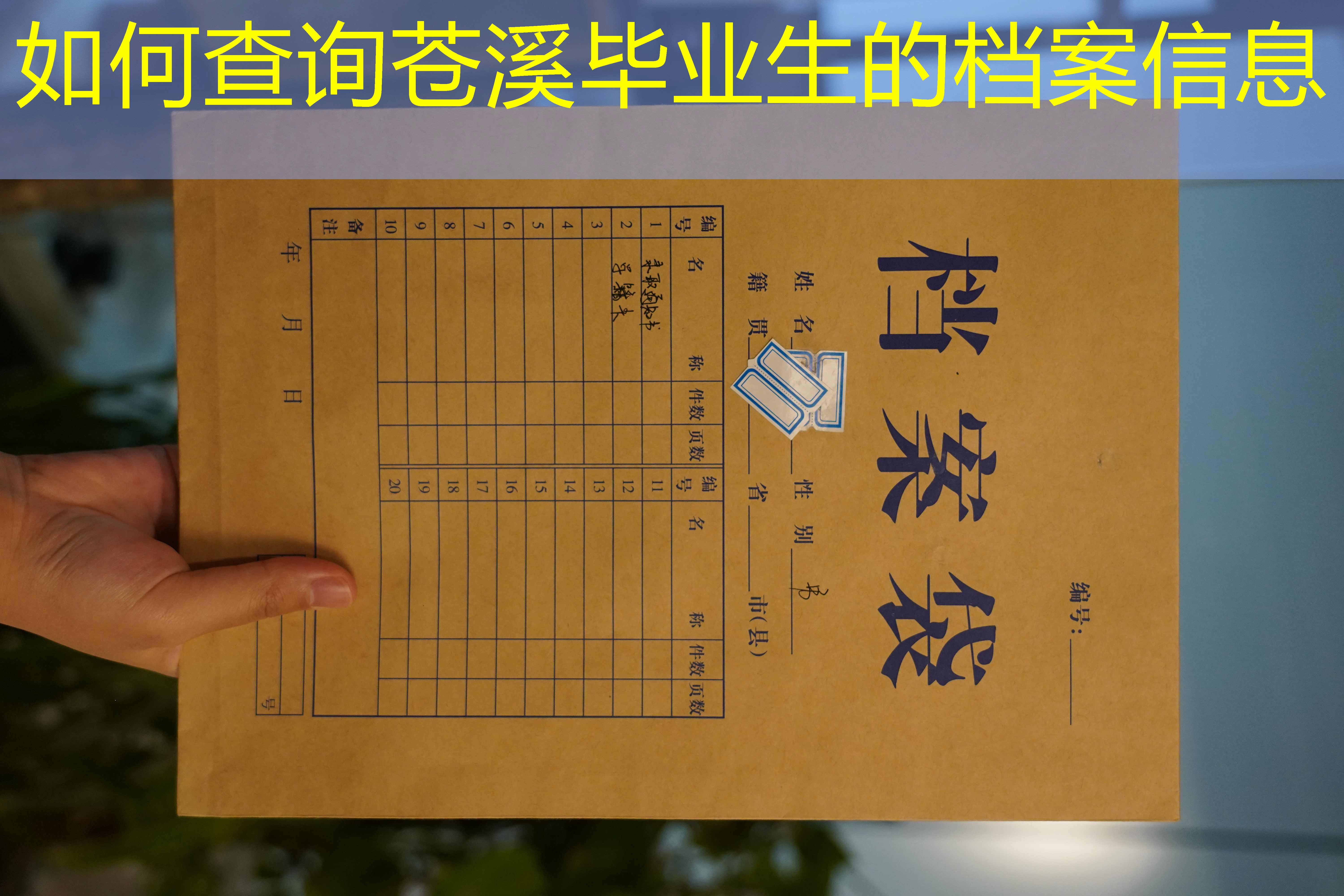 档案查询