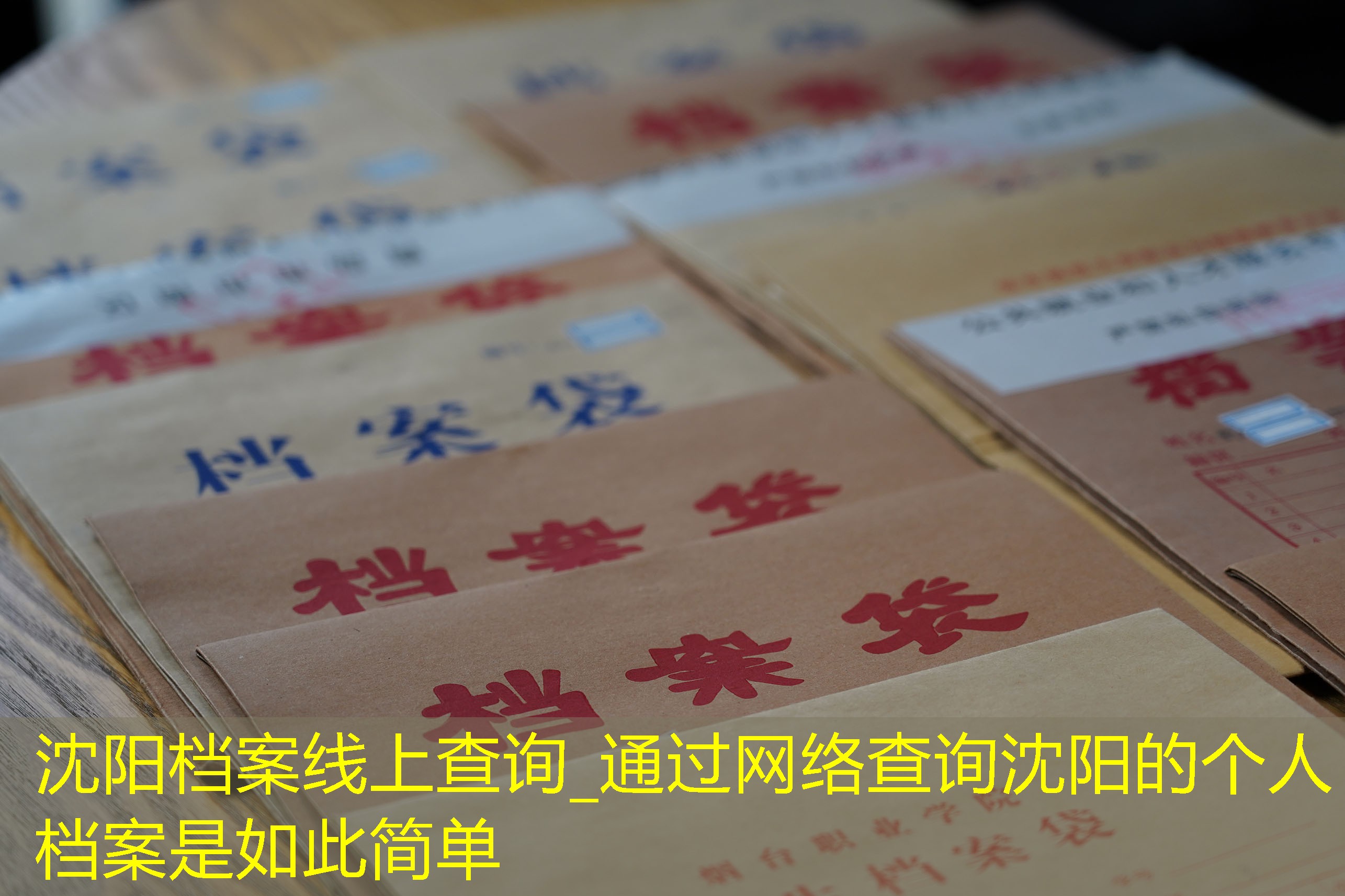 档案查询