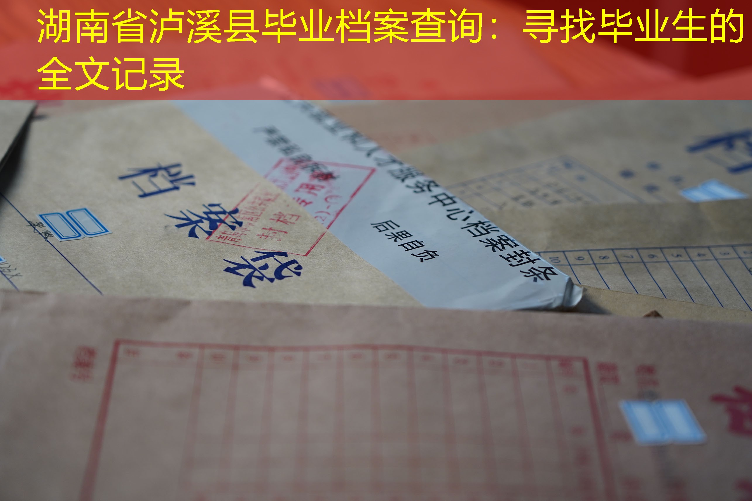 档案查询