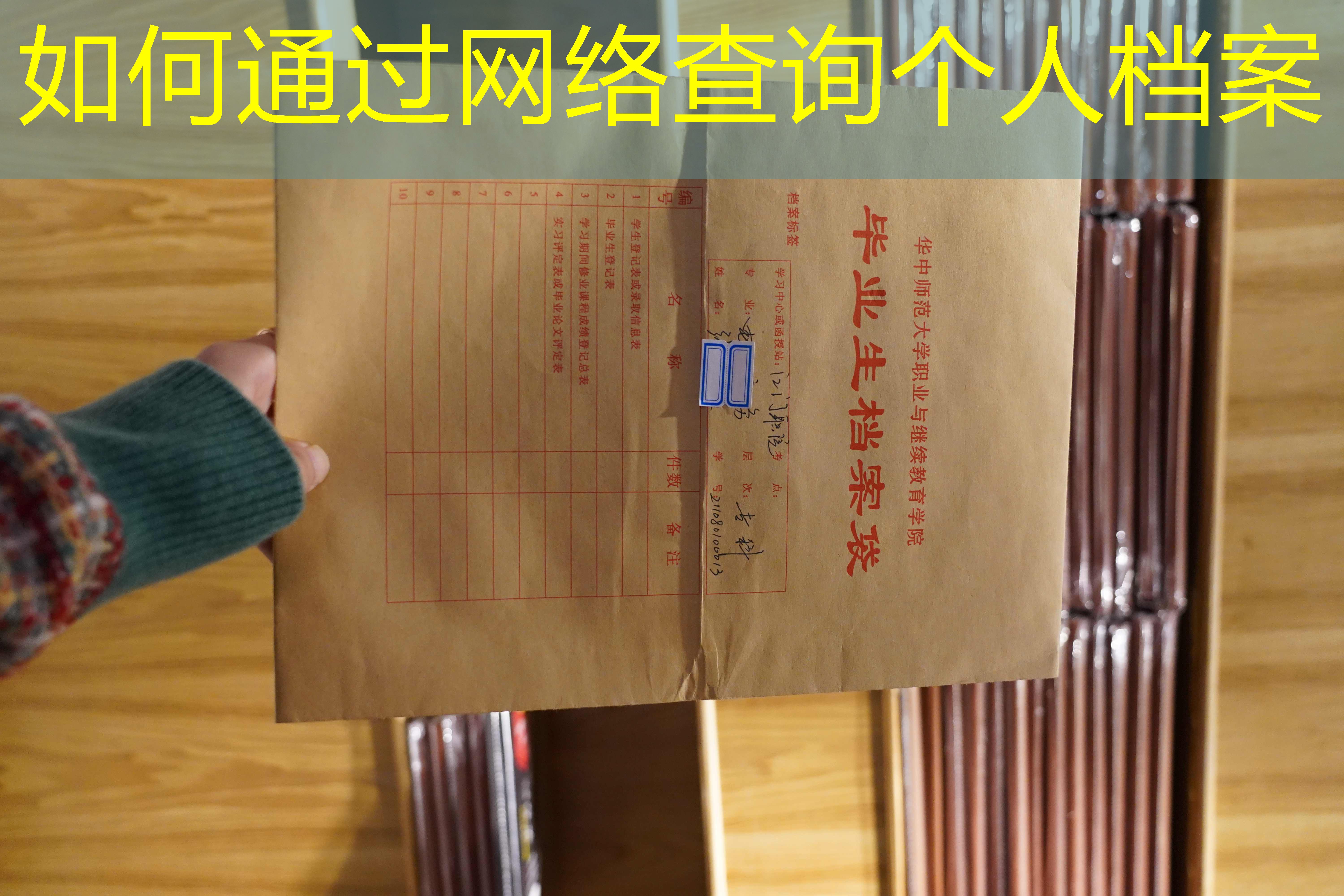 档案查询