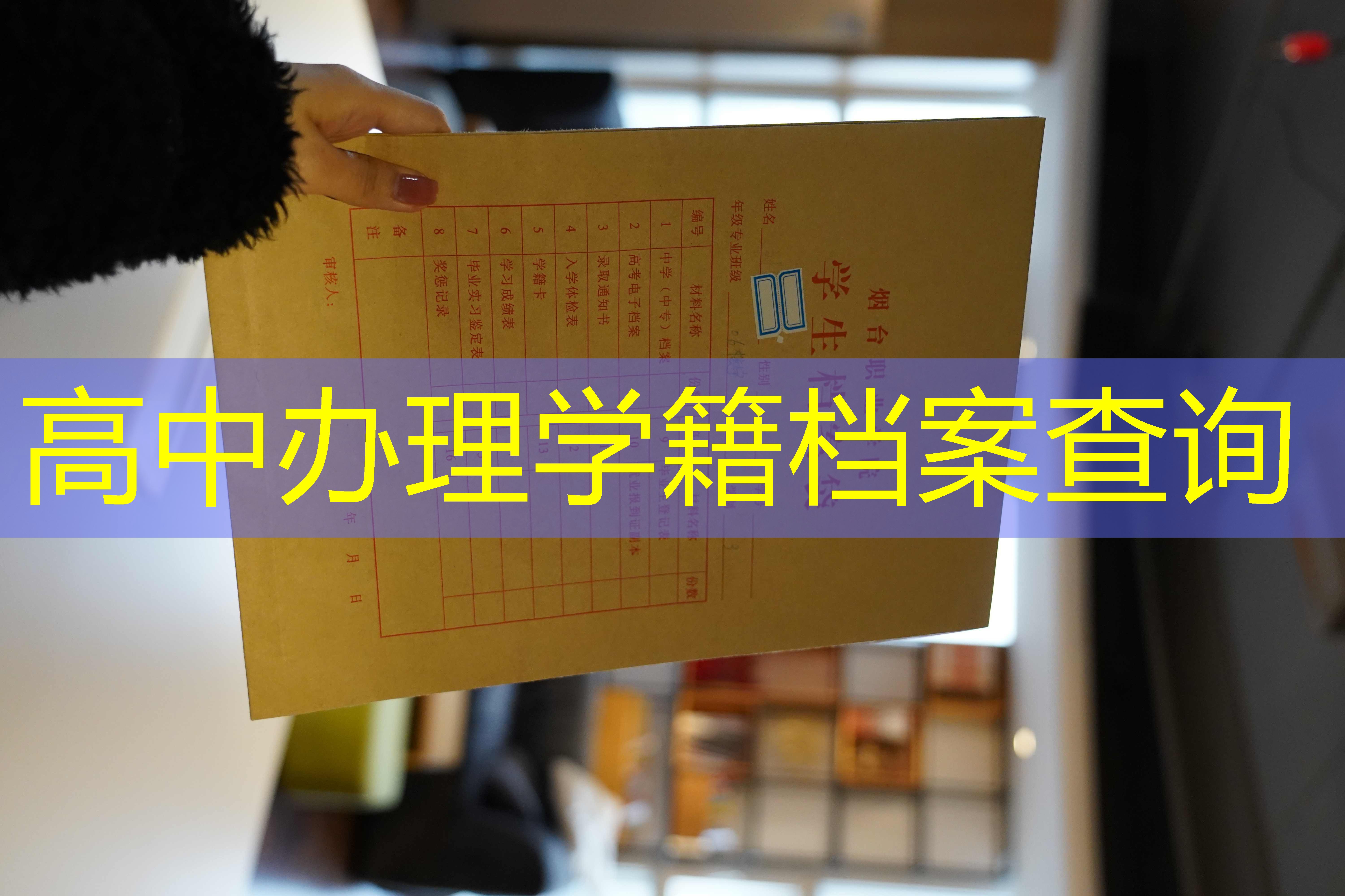 档案查询