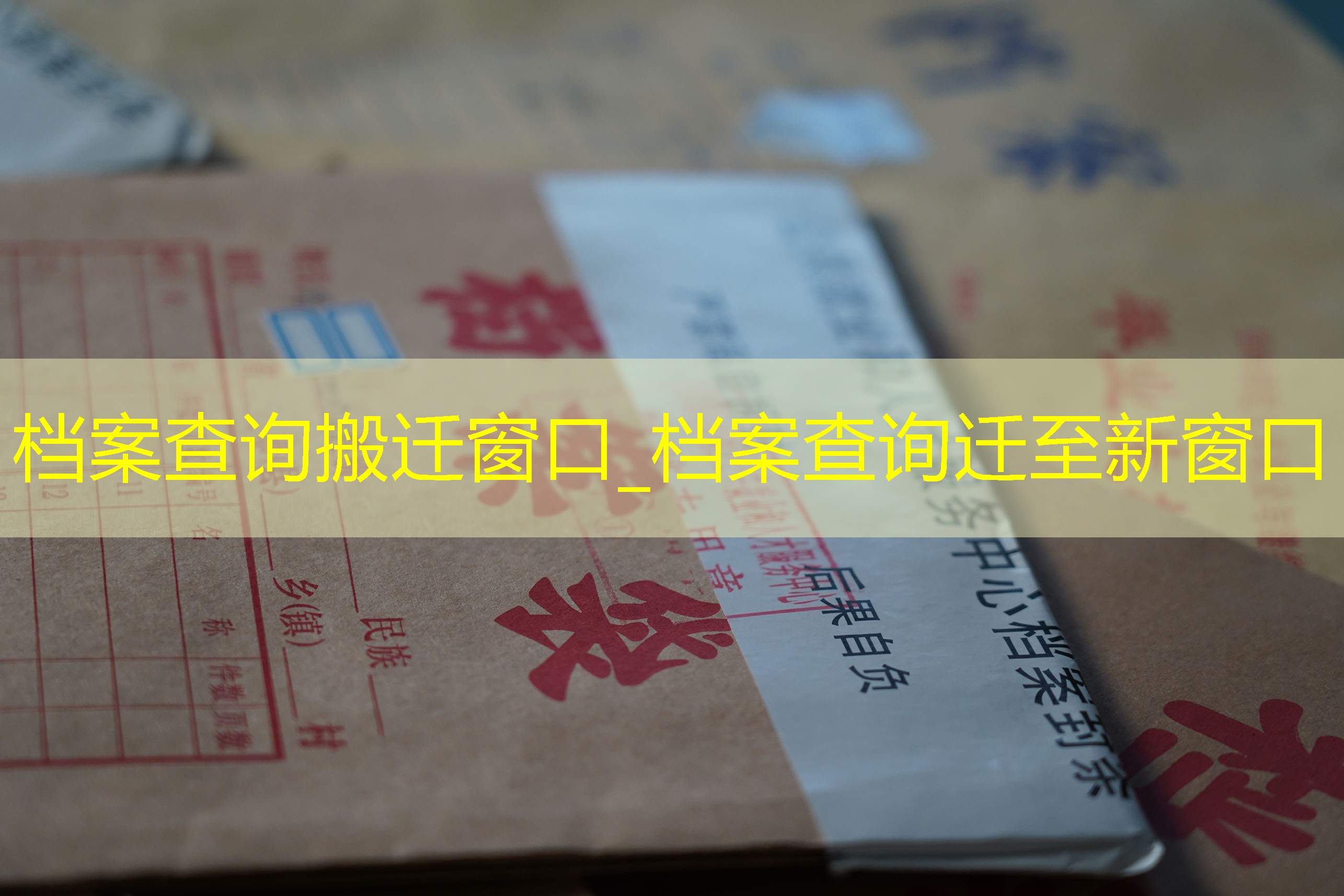 档案查询