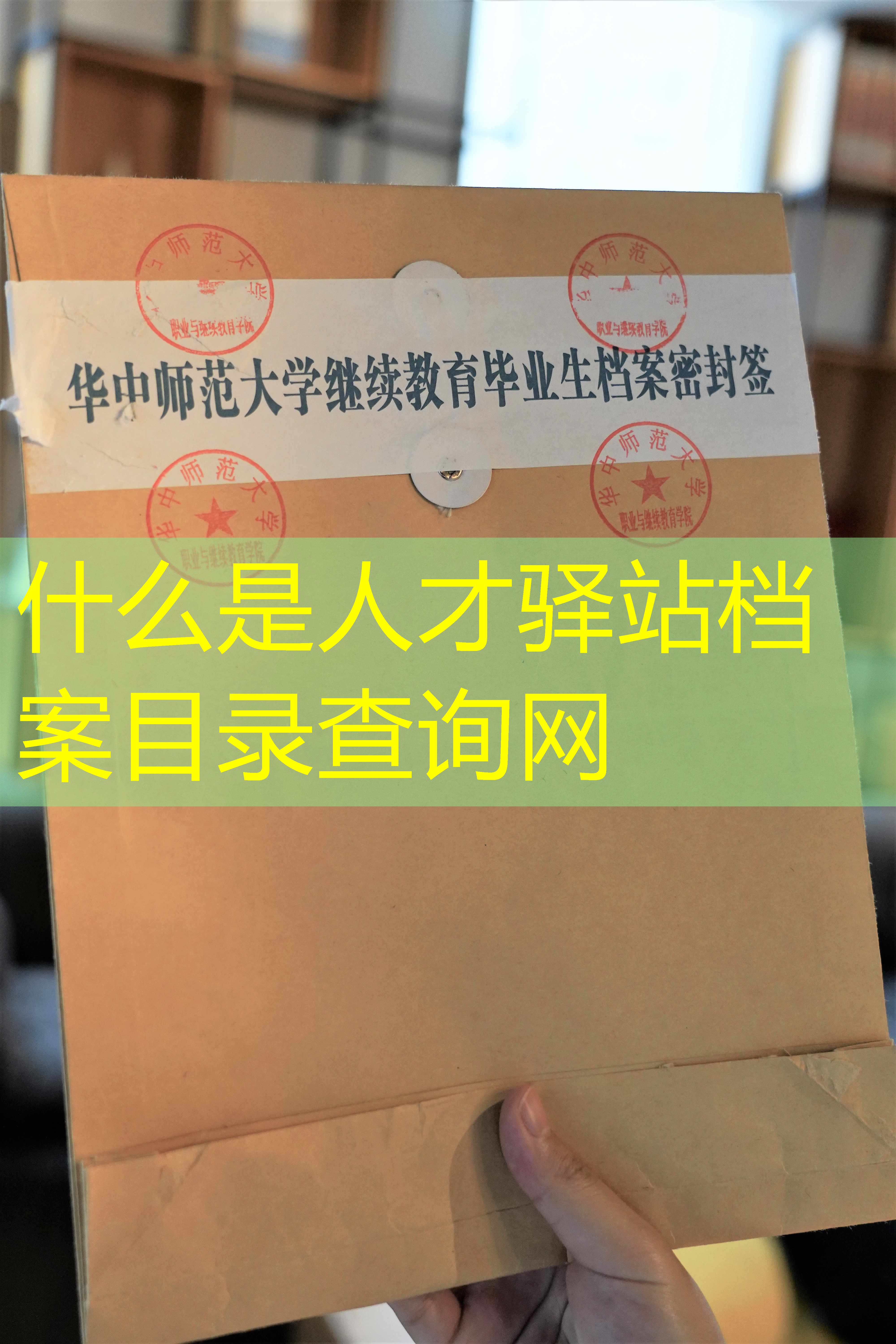档案查询