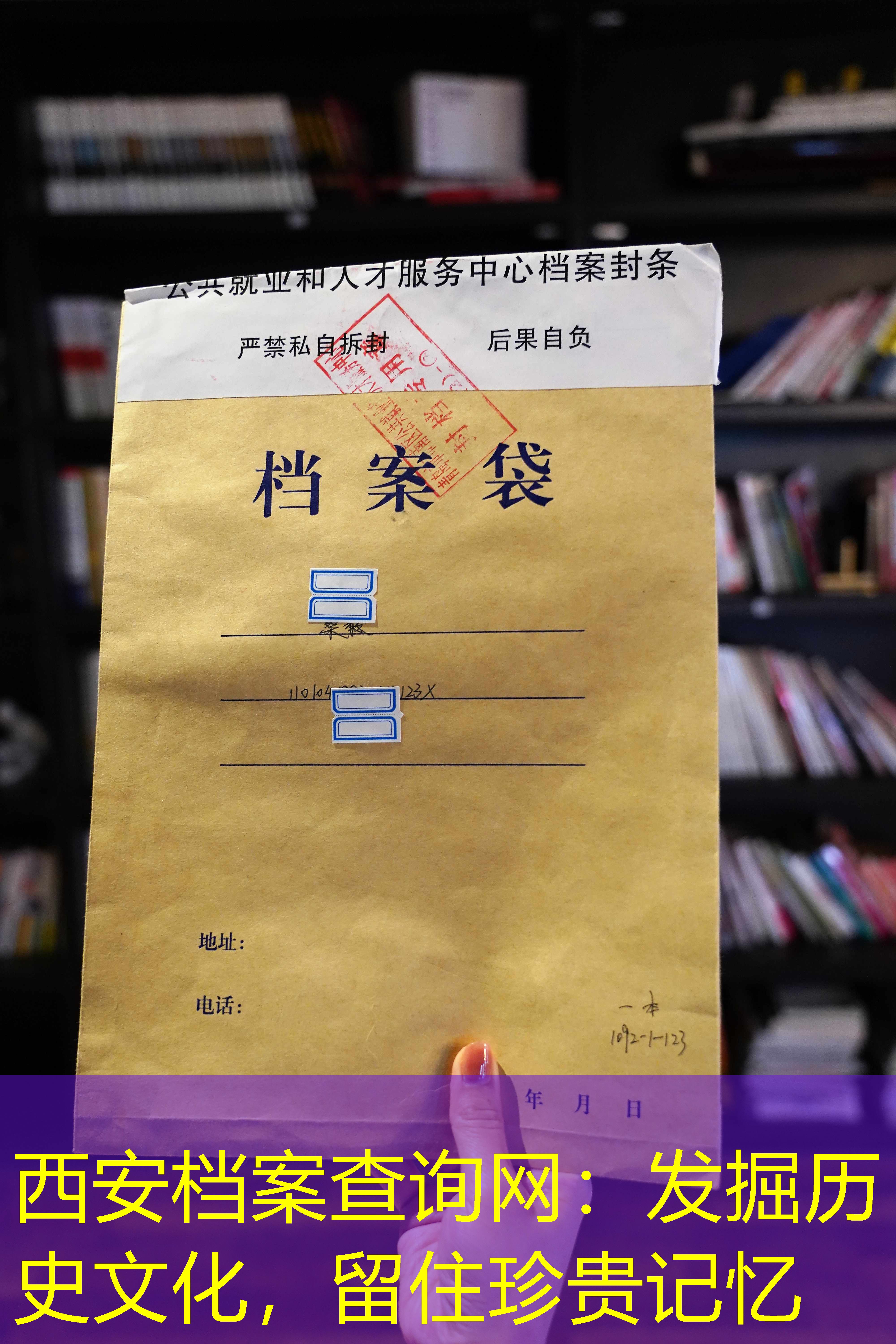档案查询