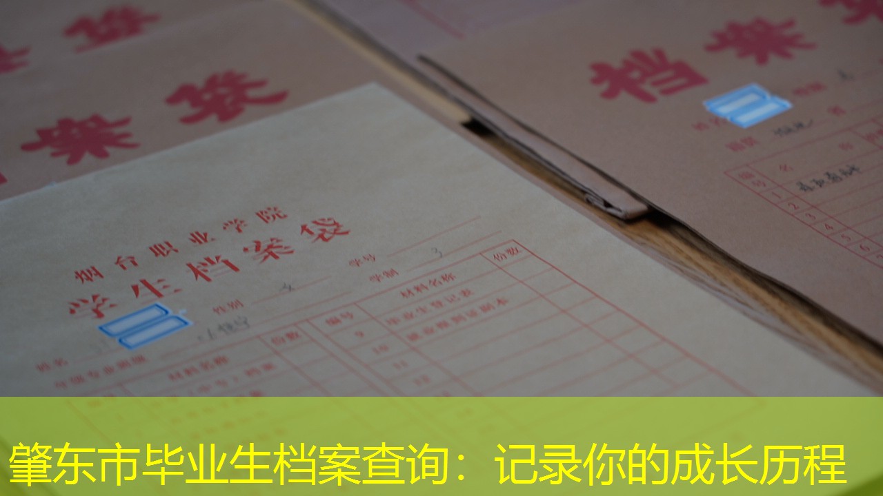 档案查询