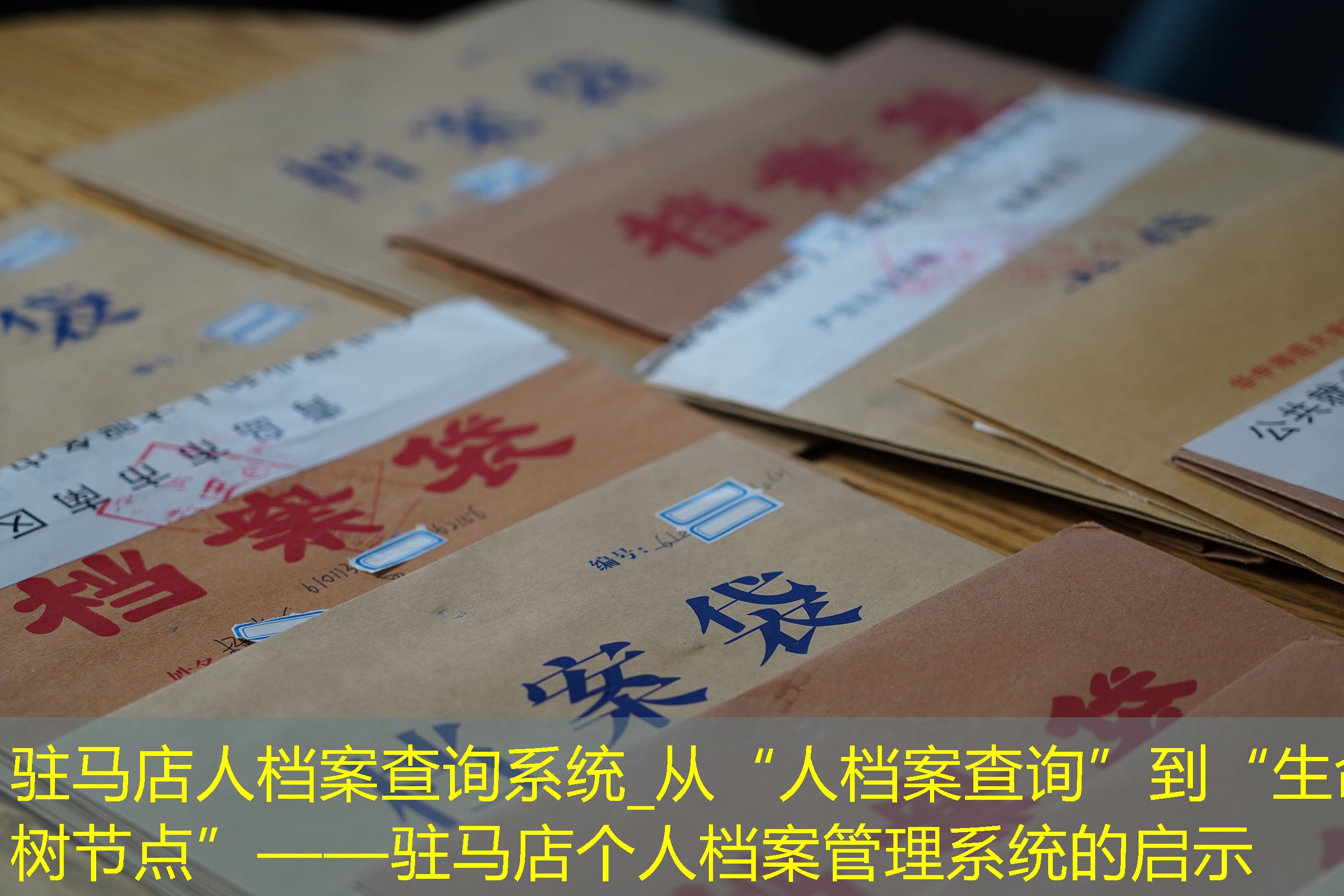 档案查询