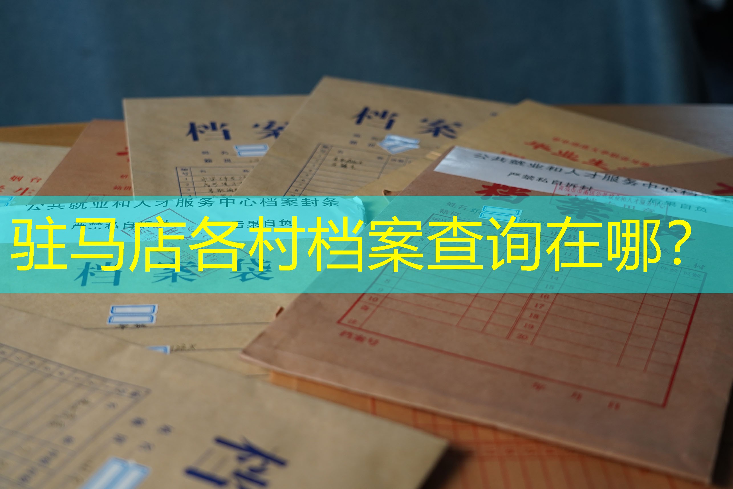 档案查询