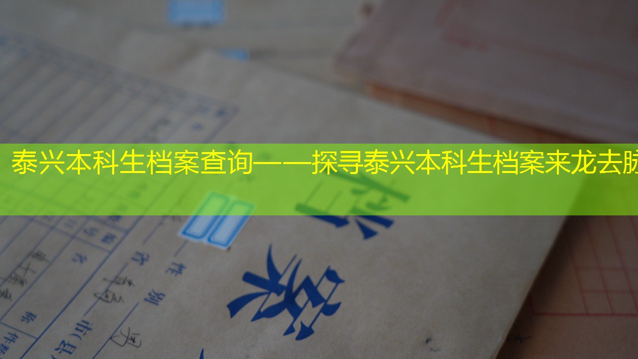 档案查询