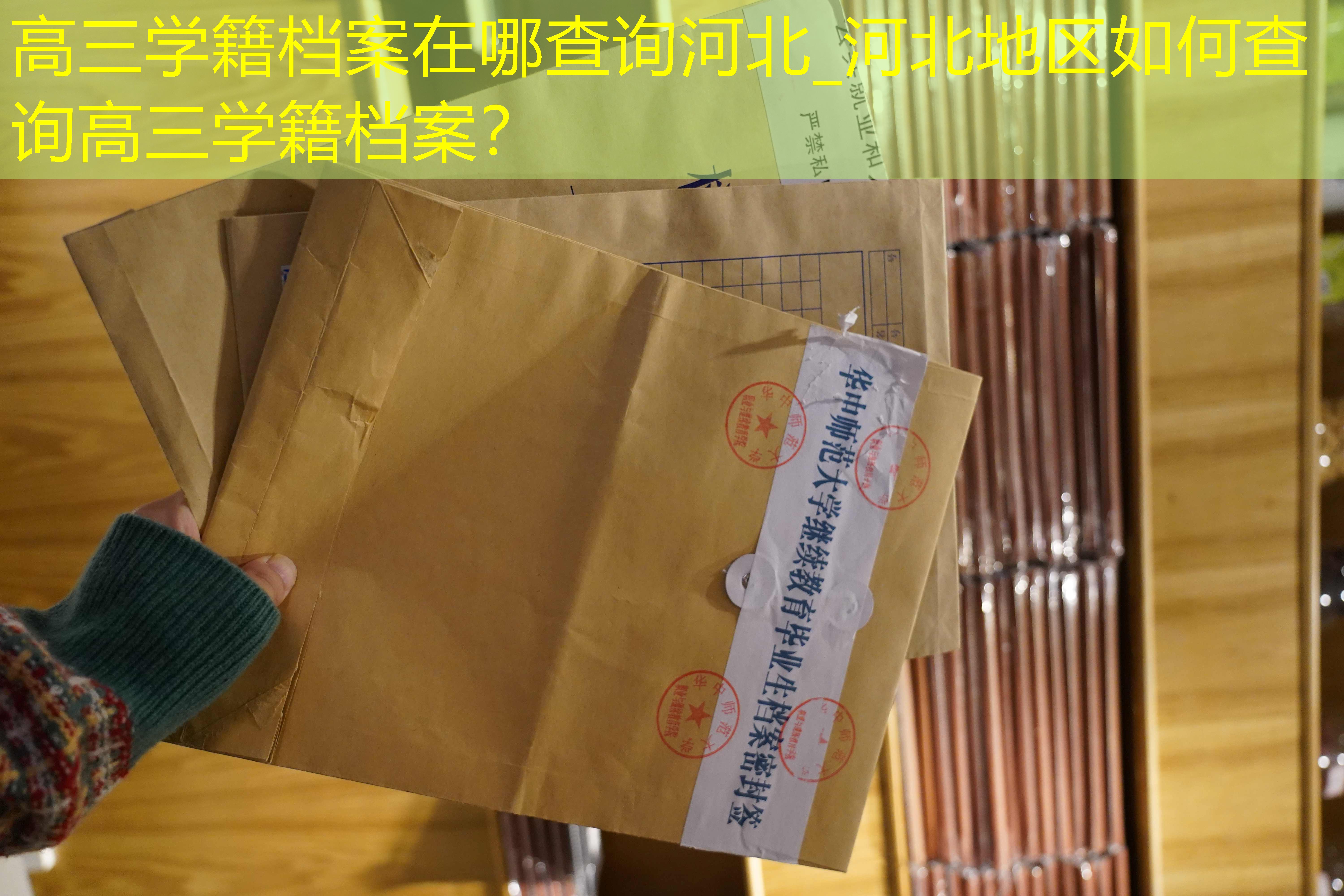 档案查询