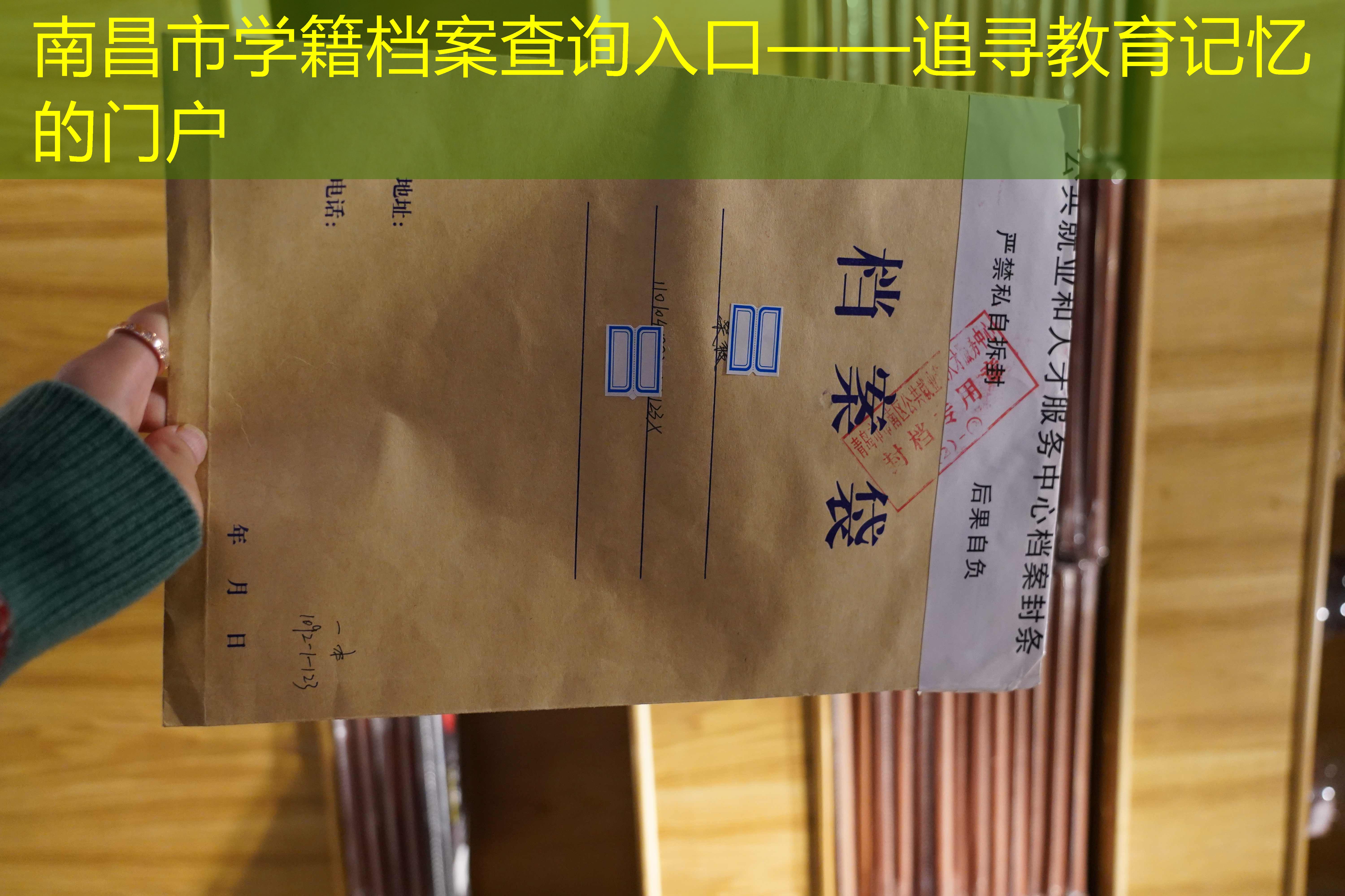 档案查询