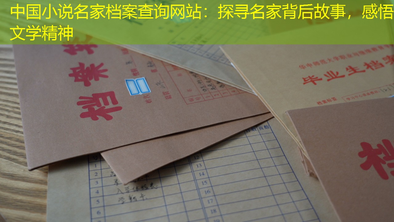 档案查询