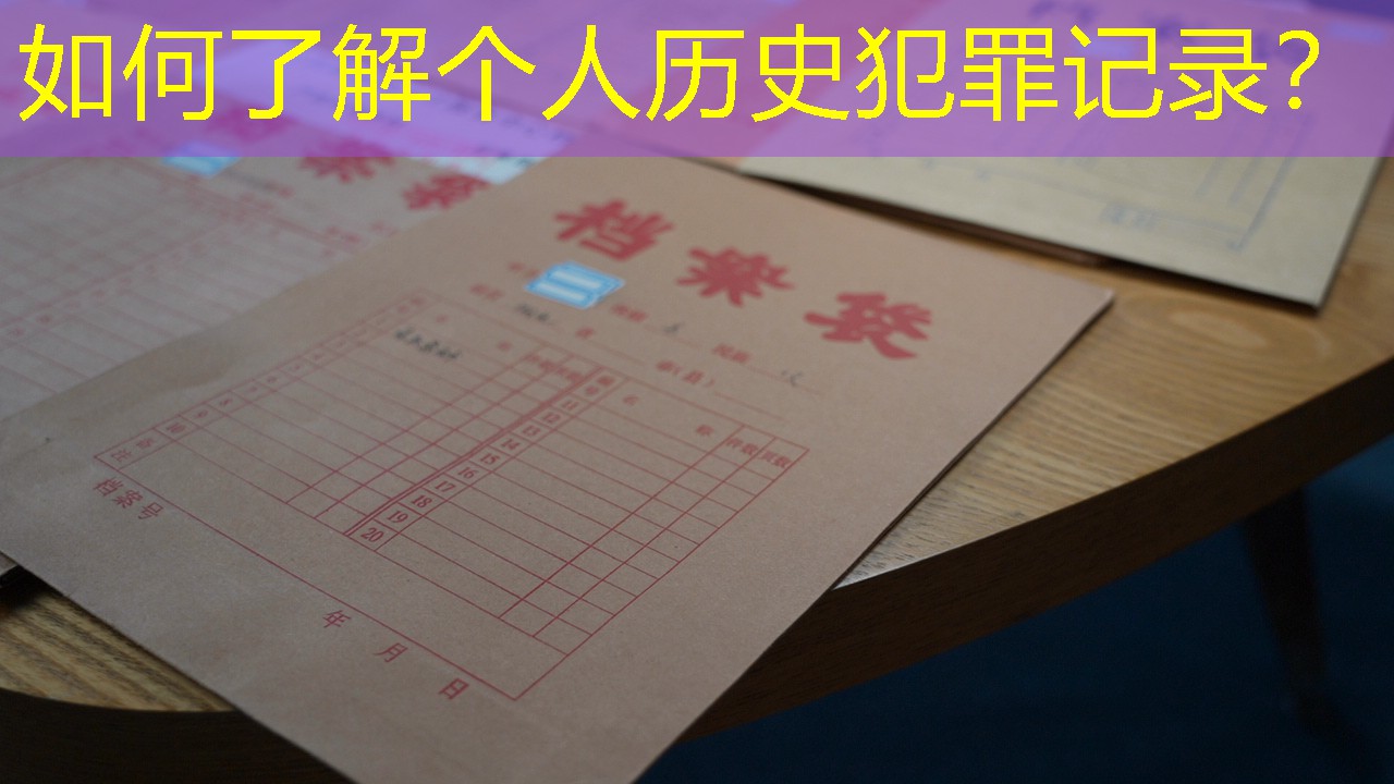 档案查询