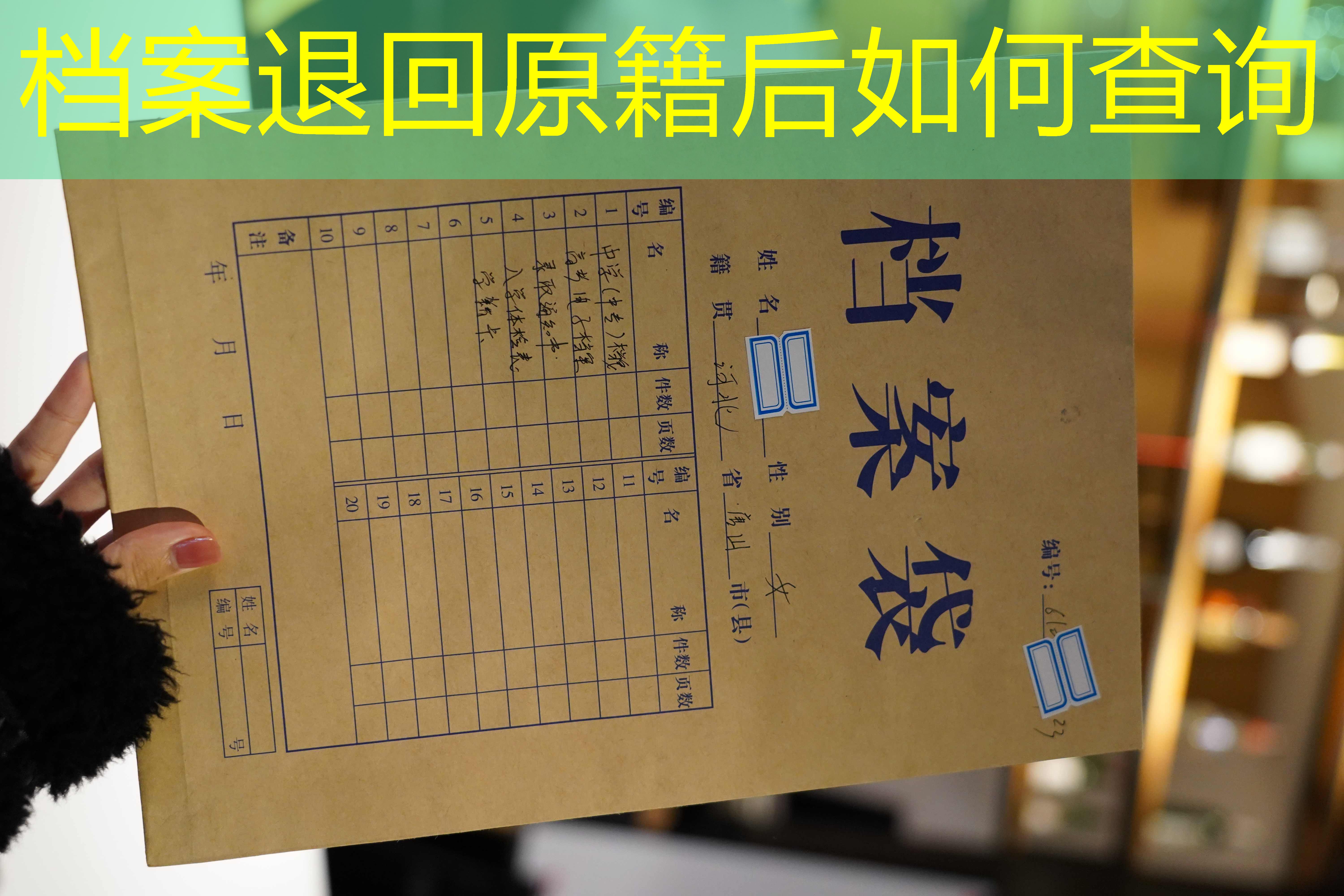 档案查询