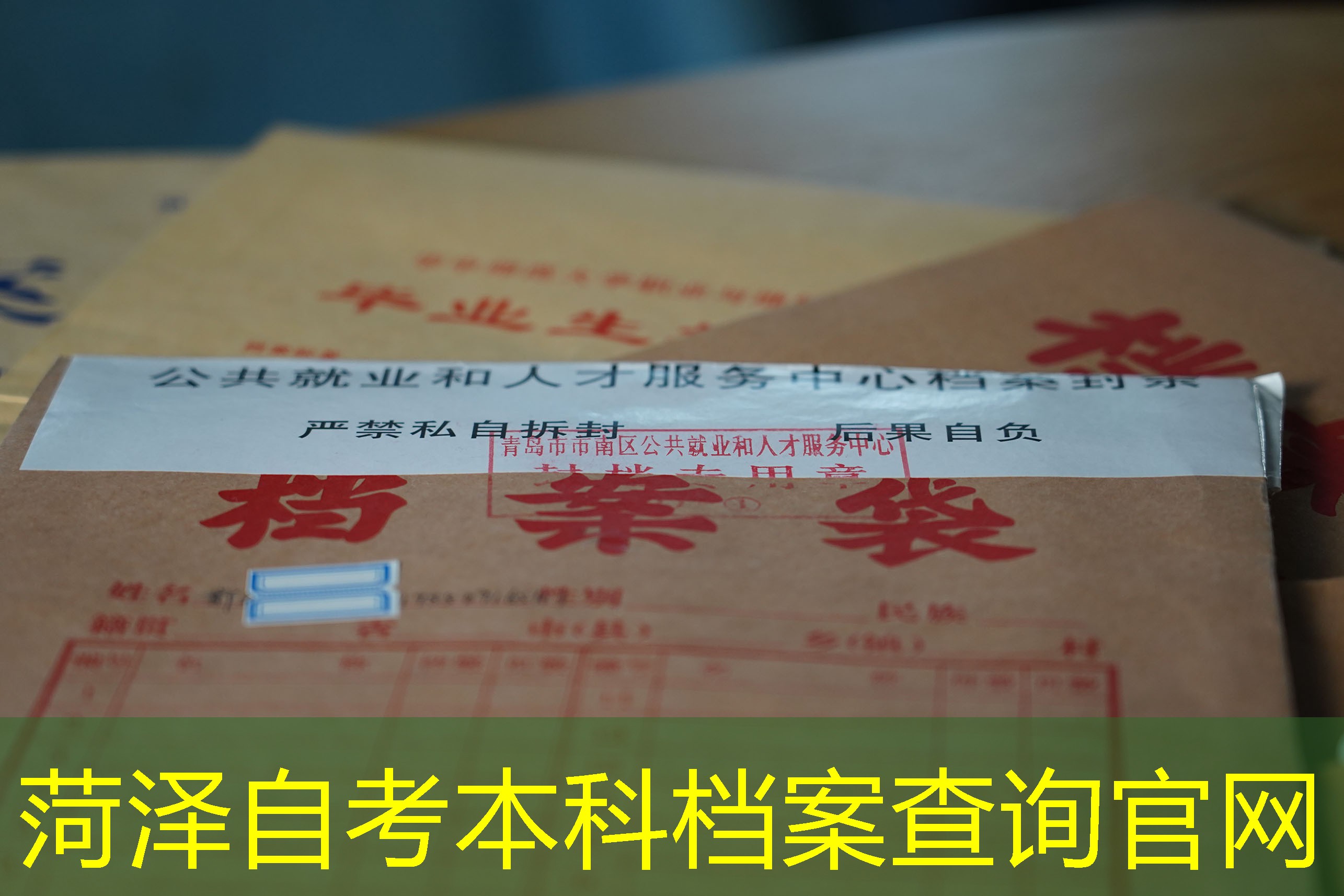 档案查询