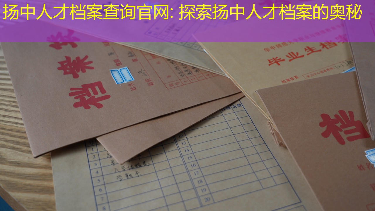 档案查询