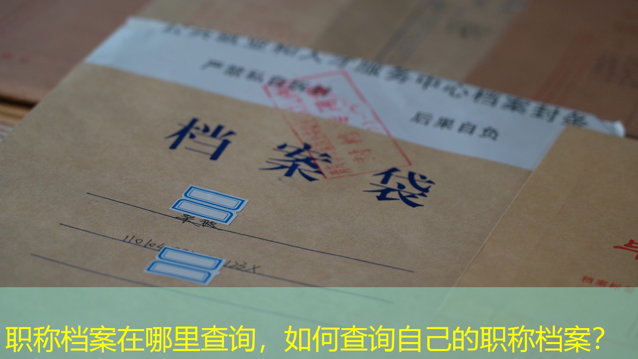 档案查询