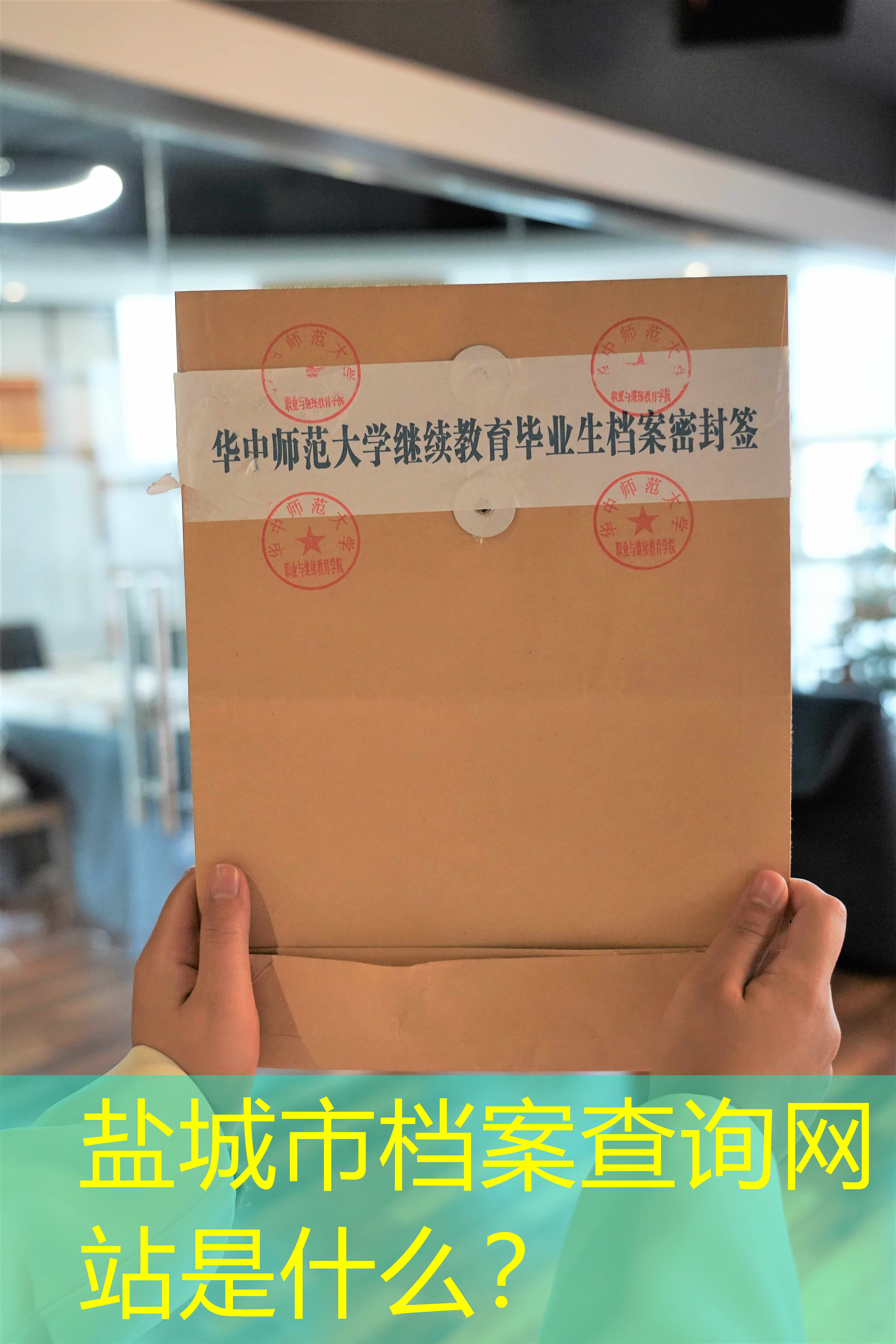 档案查询