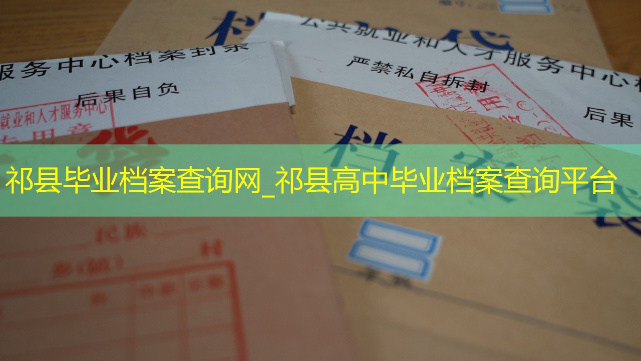 档案查询