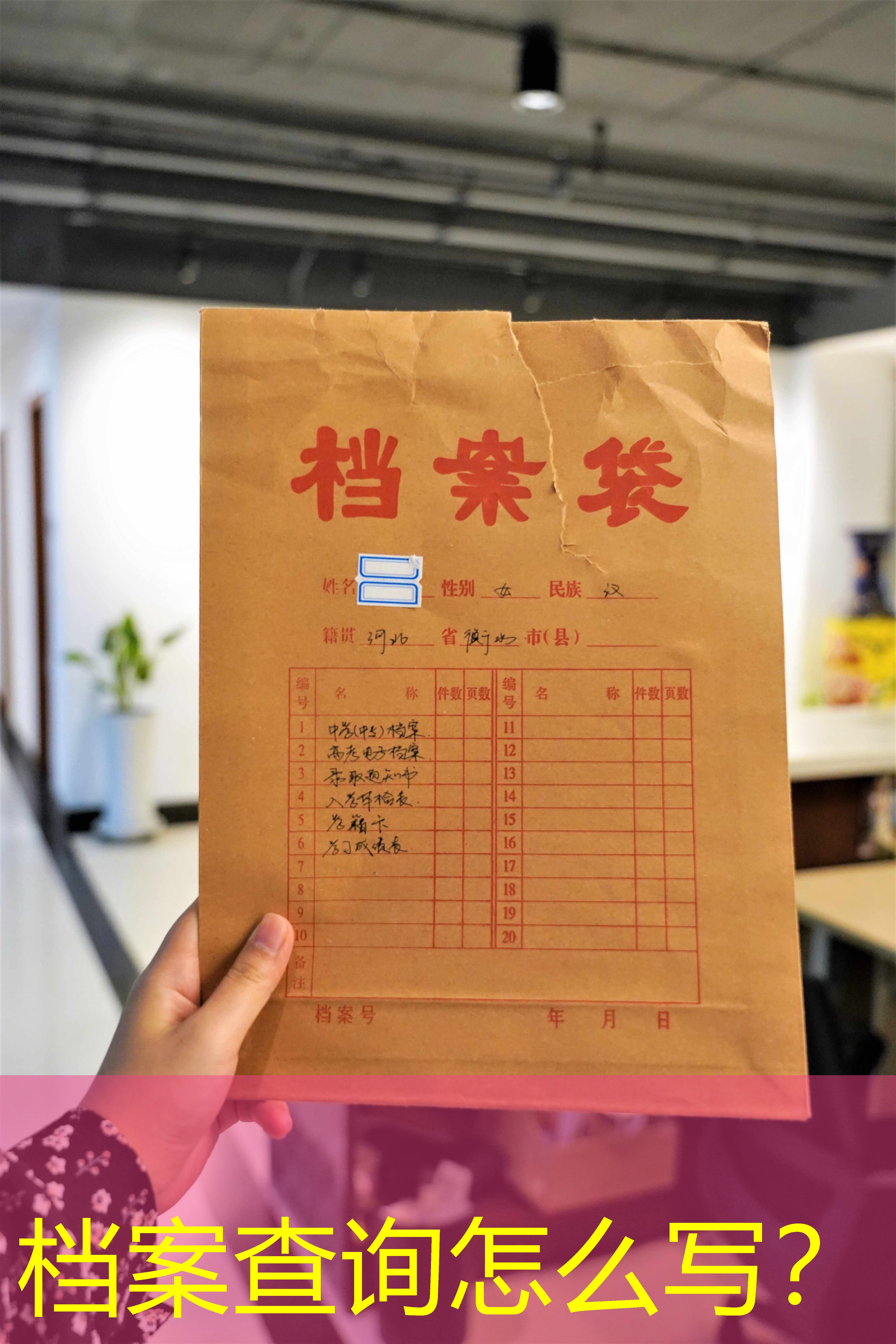 档案查询