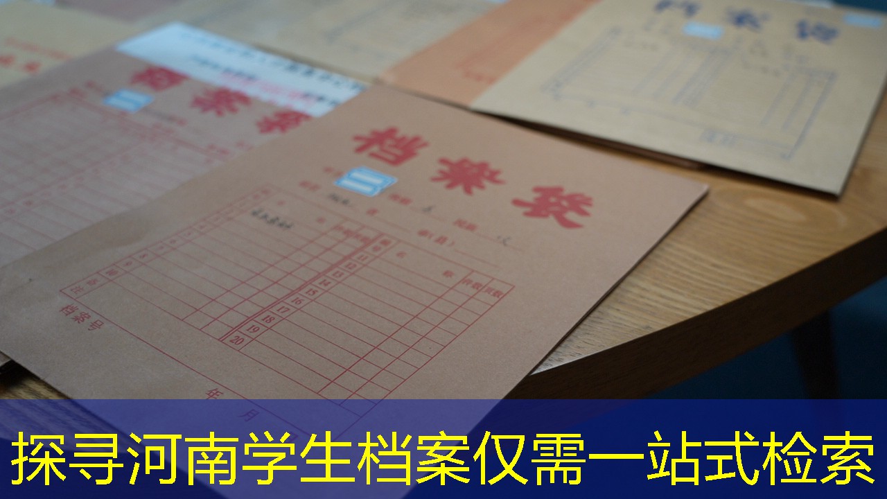 档案查询